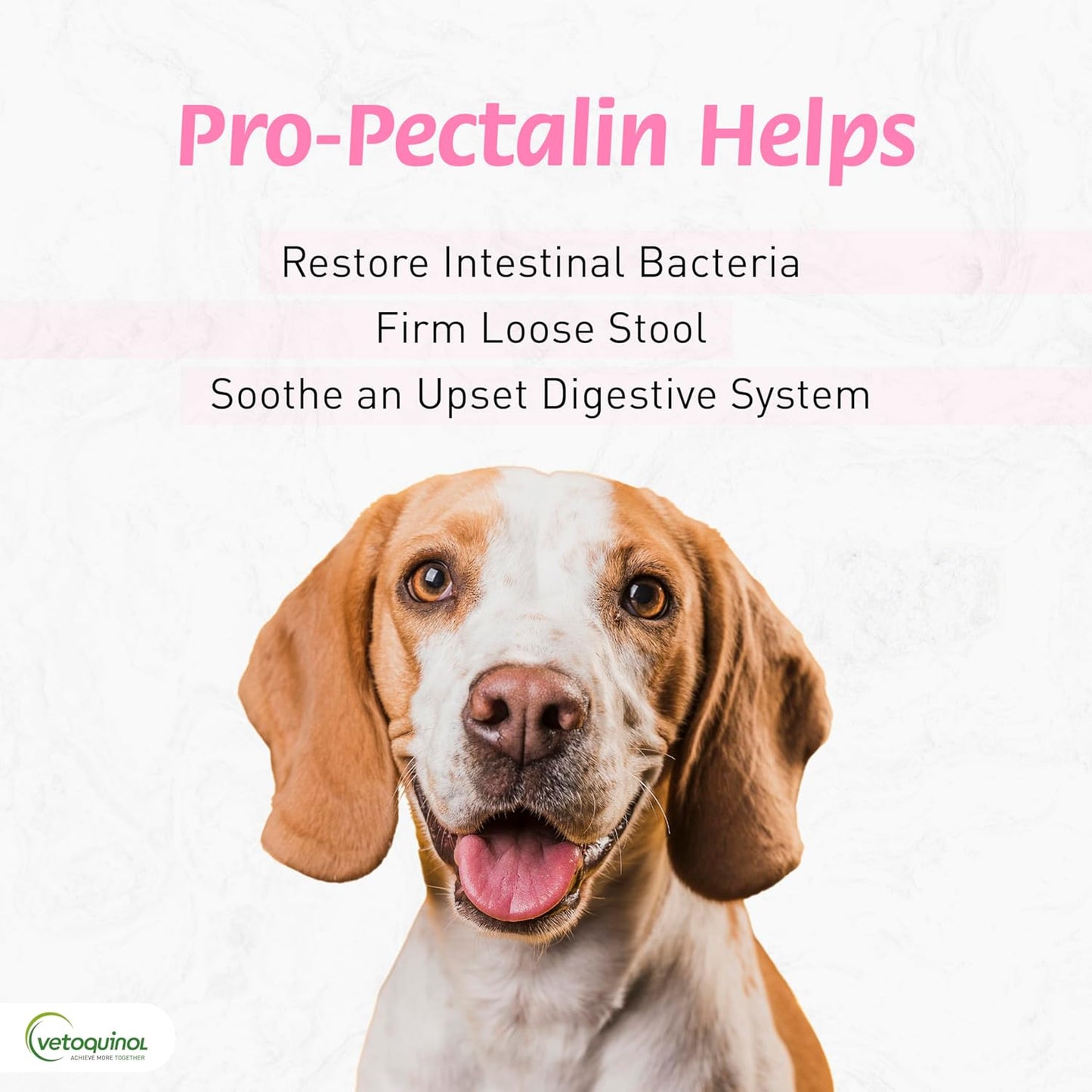 Pro-Pectalin Chewable Tablets for Dogs & Cats, Helps Relieve Occasional Diarrhea, Situational Diarrhea Relief with Kaolin and Pectin, Contains Beneficial Probiotic Bacteria, 250 Ct