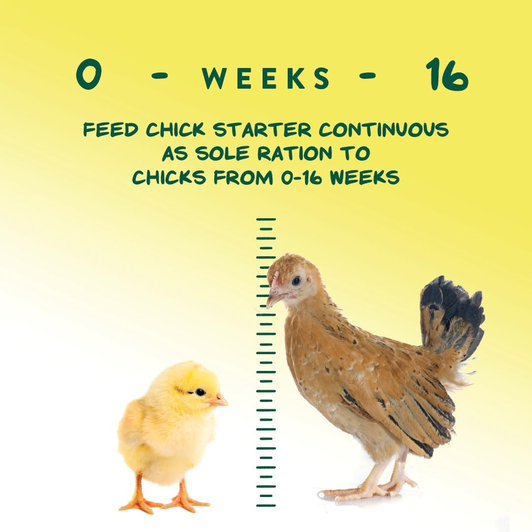 Medicated Chick Starter Grower Feed – High Protein Crumbles with Amprolium for Coccidiosis Prevention – Complete Chicken Feed for Baby Chicks and Pullets – for Healthy Growth – 5 Lb Bag