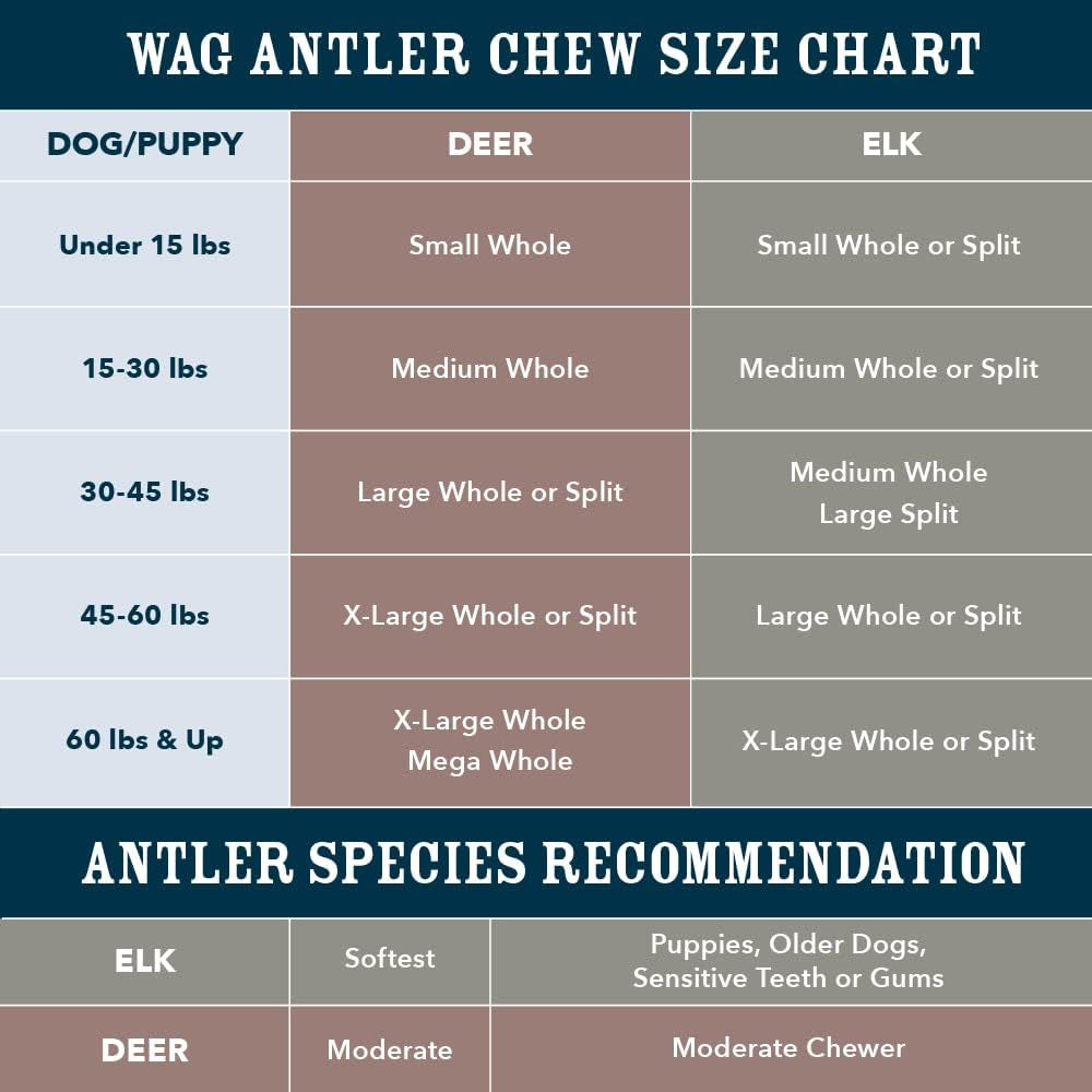 Amazon Brand -  Split Elk Antler, Naturally Shed, Long Lasting for Aggressive Chewers, Medium (Best for Dogs 15-30 Lbs)