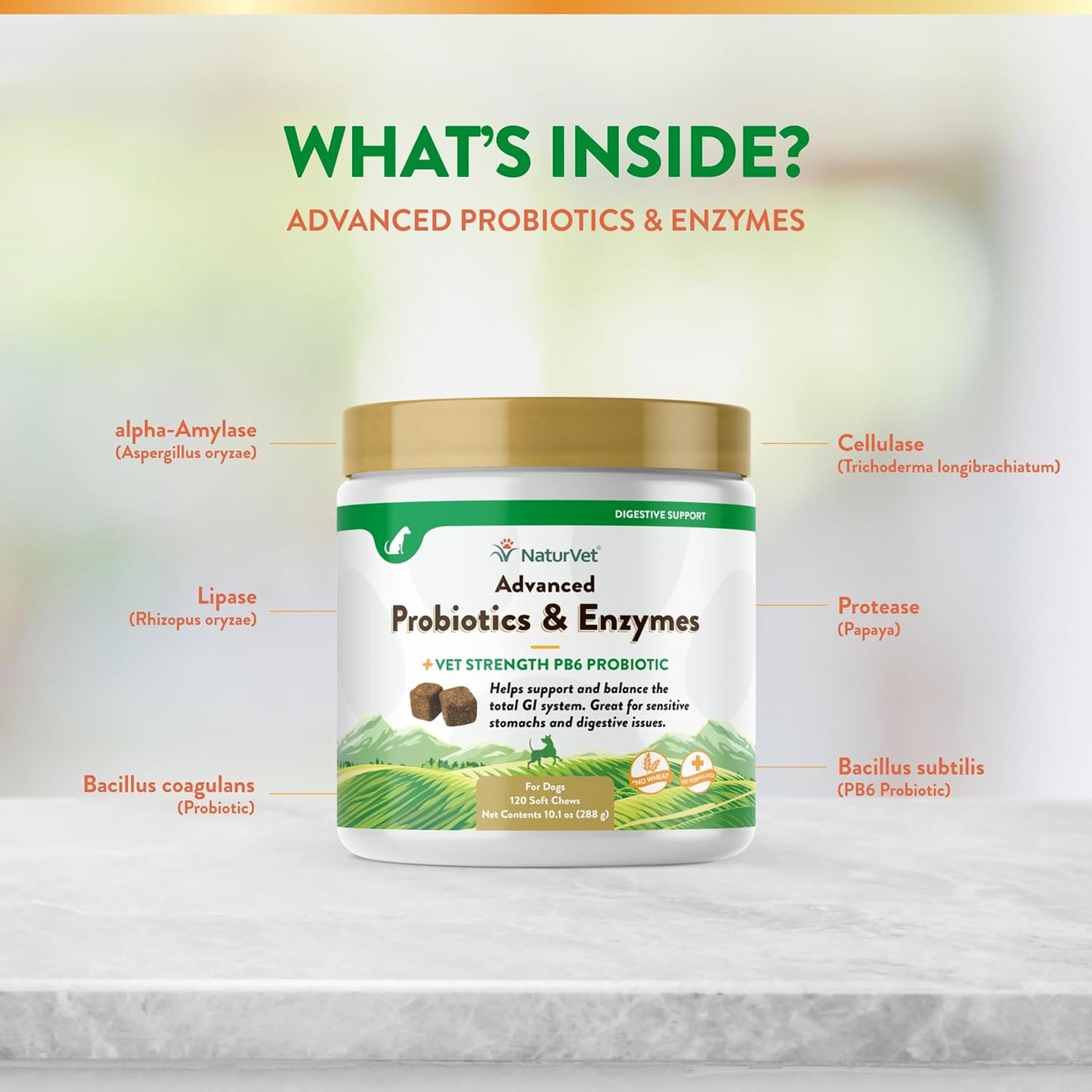 Advanced Probiotics & Enzymes, PB6 Dog Soft Chews to Help Sensitive Stomachs and Digestive Issues, Hickory Smoked Bacon Flavored Pet Supplement for Dogs over 6 Weeks, 120 Count Jar