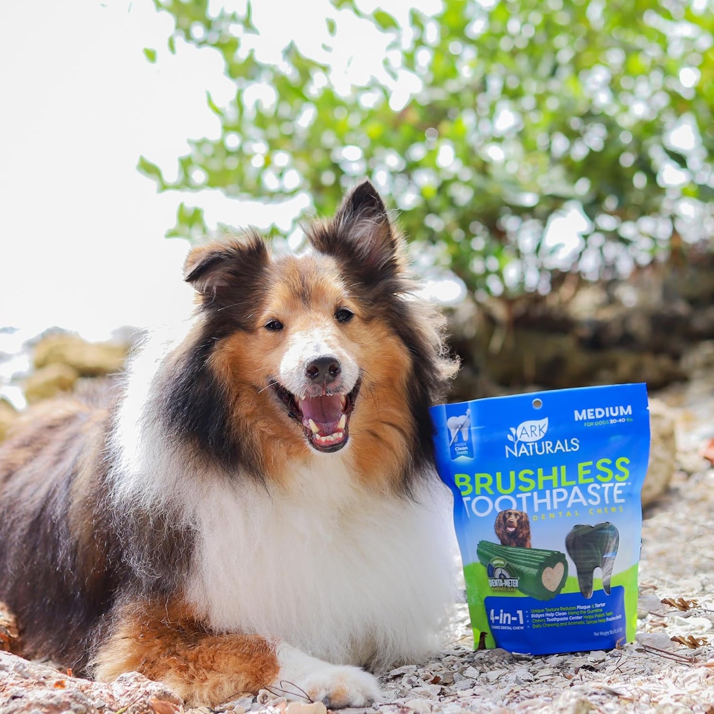 Brushless Toothpaste, Dog Dental Chews for Medium Breeds, Freshens Breath, Helps Reduce Plaque & Tartar, 18Oz, 1 Pack