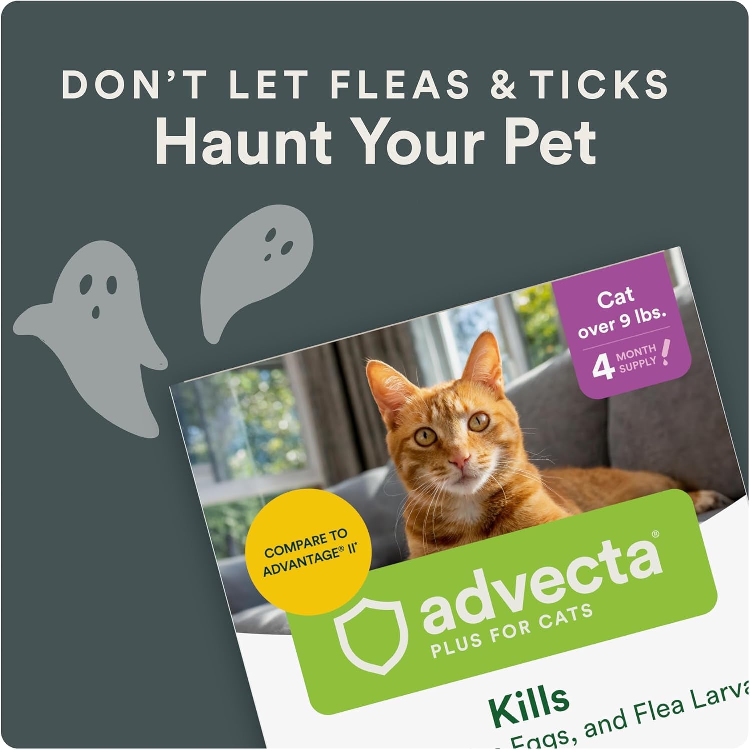 plus Topical Large Cat Flea Treatment for Cats and Kittens, Flea Prevention and Control, Fast-Acting Waterproof Drops, 6-Month Supply