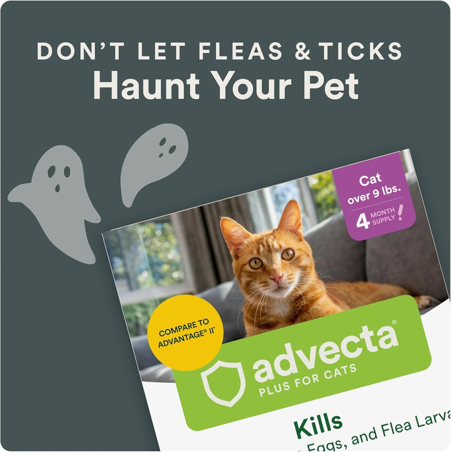 plus Flea Prevention for Cats, Cat and Kitten Treatment & Control, Small and Large, Fast Acting Waterproof Topical Drops, 4 Month Supply