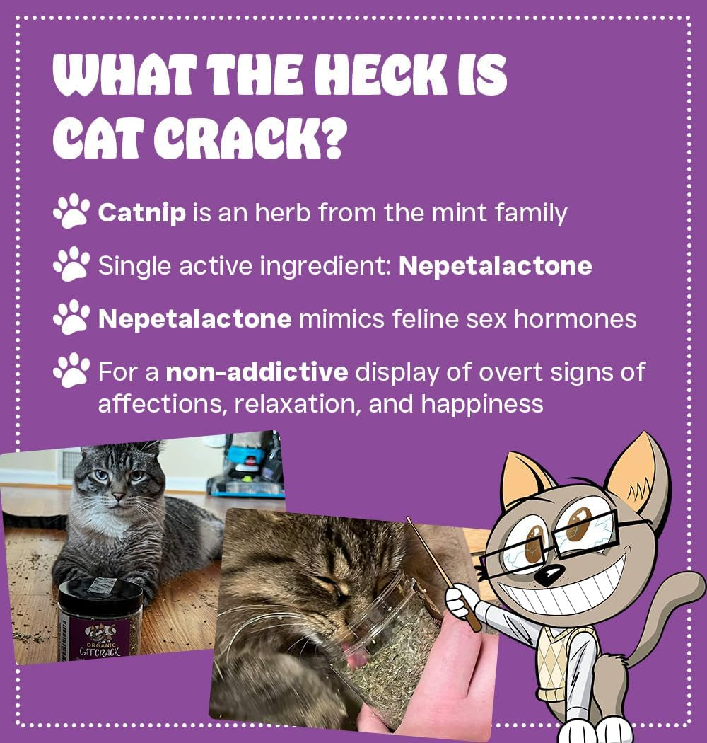 Catnip, Zoomie-Inducing Cat Nip Blend, North American Made & 100% Natural, Safe & Non-Addictive Catnip Treats Used to Supplement Cat Nip Toys, Spray, & Accessories (1 Cup)