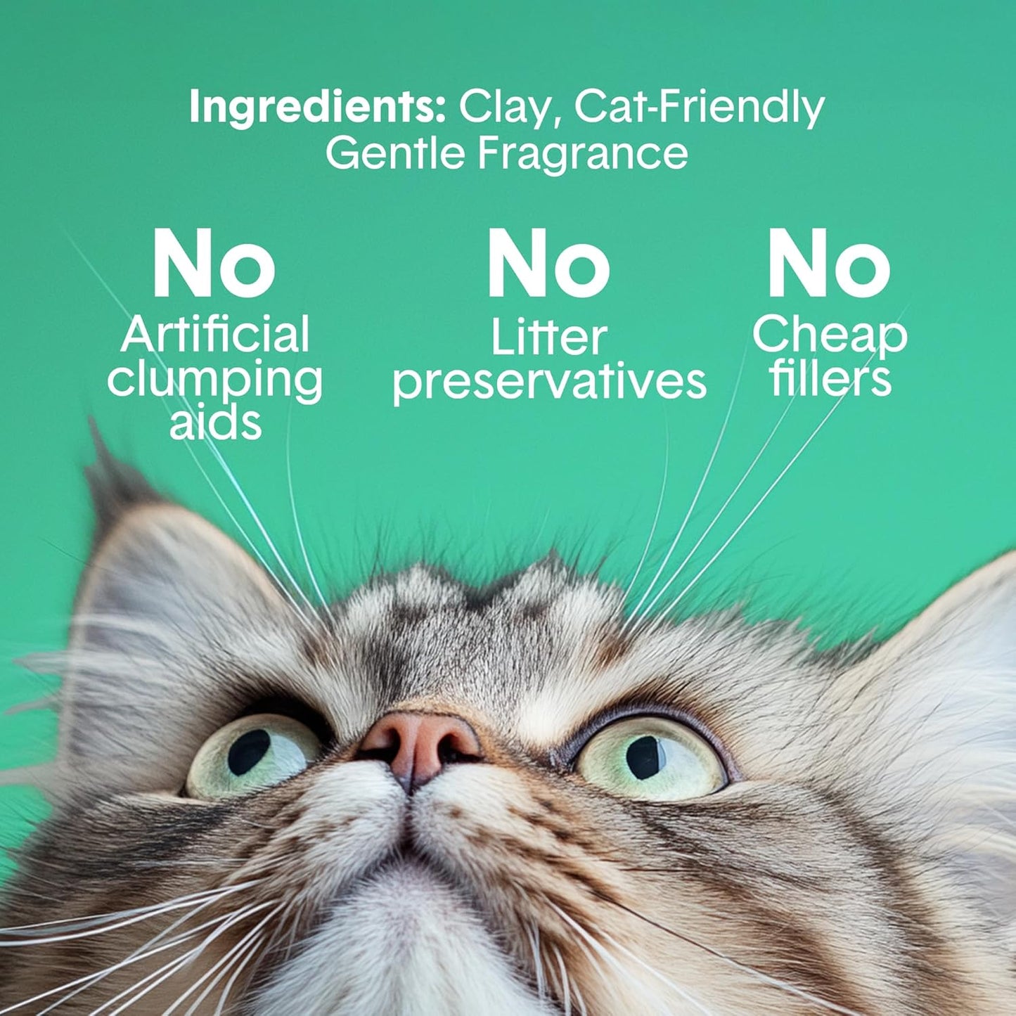 Gently Scented Premium Clumping Clay Cat Litter-16-Pounds