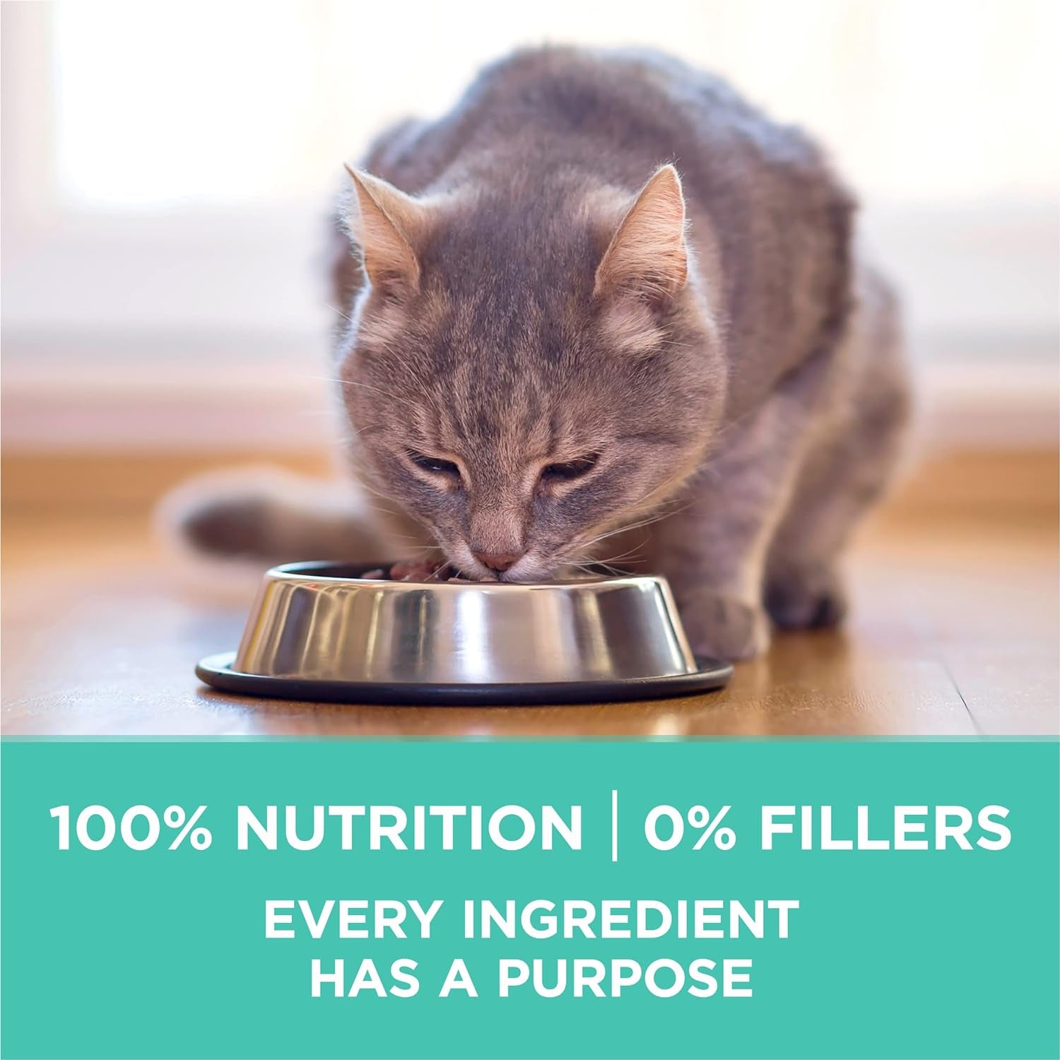 Sensitive Stomach, Sensitive Skin, Natural Dry Cat Food, +Plus Sensitive Skin and Stomach Formula - 16 Lb. Bag