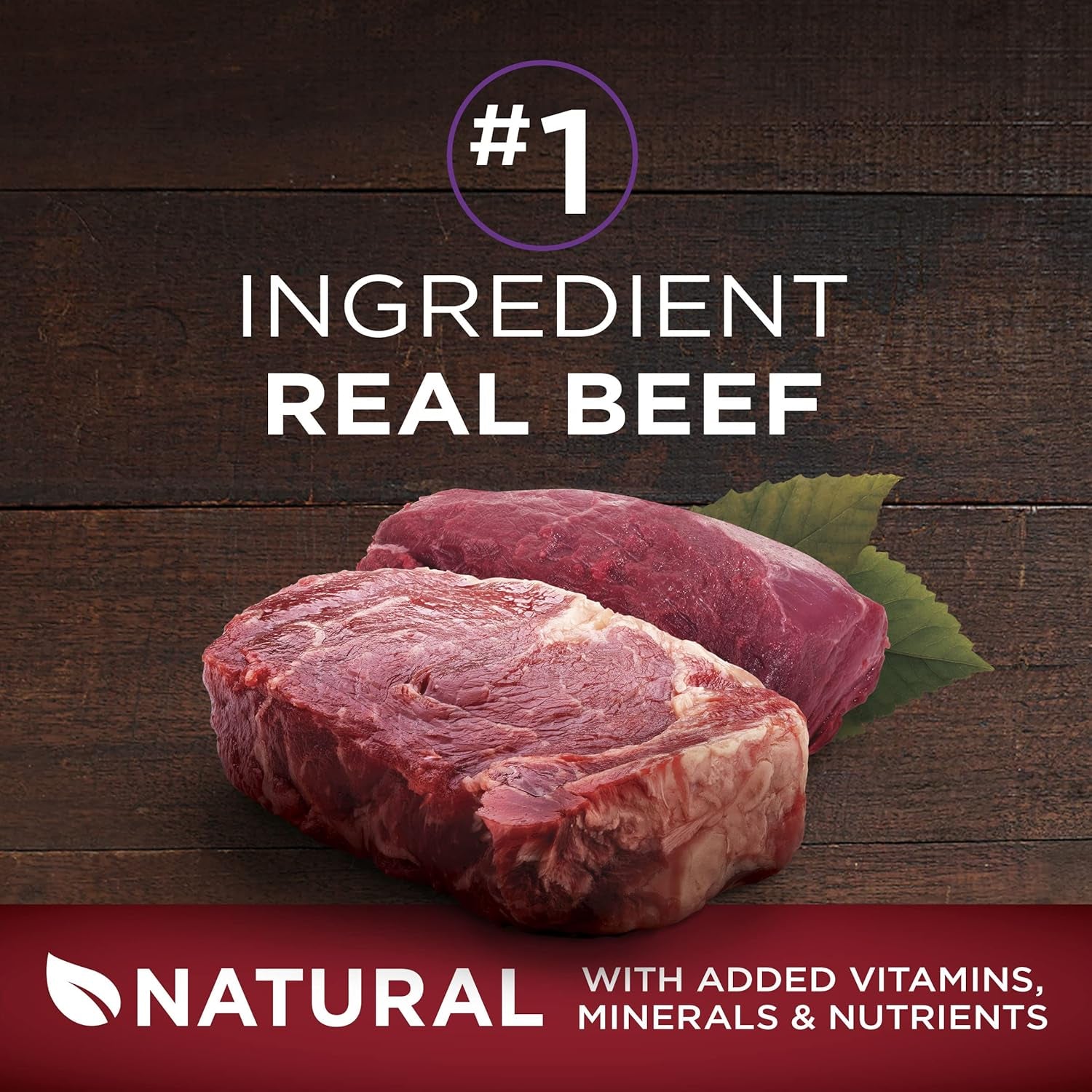 Wet Dog Food True Instinct Classic Ground Grain-Free Formula with Real Beef and Bison High Protein Dog Food - (Pack of 12) 13 Oz. Cans