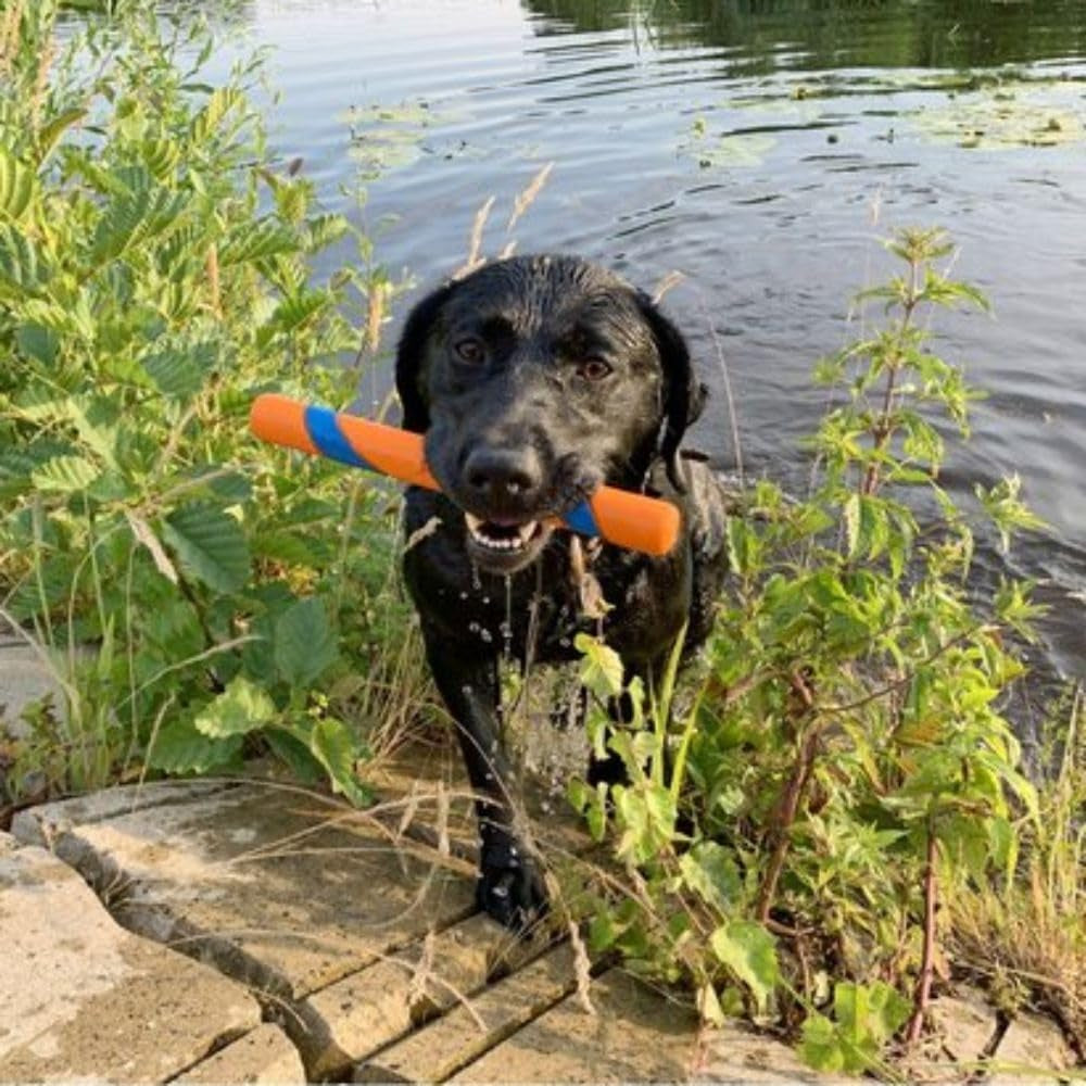 Interactive Dog Toy Ultra Fetch Stick - 12 Inch Outdoor Dog Toy for All Breed Sizes