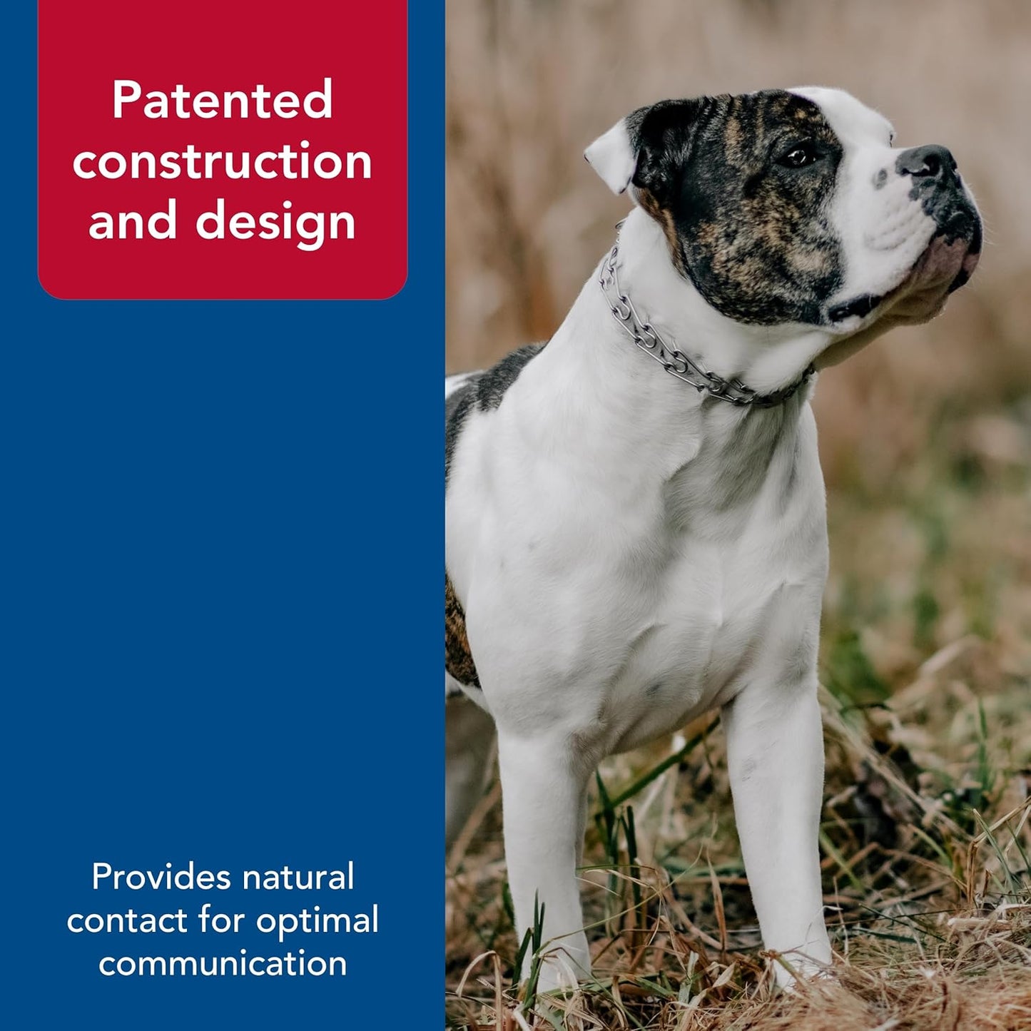 Ultra-Plus Prong Dog Training Collar, 3.0 Mm X 18" Neck Size, 3.0 Mm X 22" Chain Length, Steel Chrome Plated Dog Prong Collar, Pinch Collar for Dogs, Dog Correction Collar