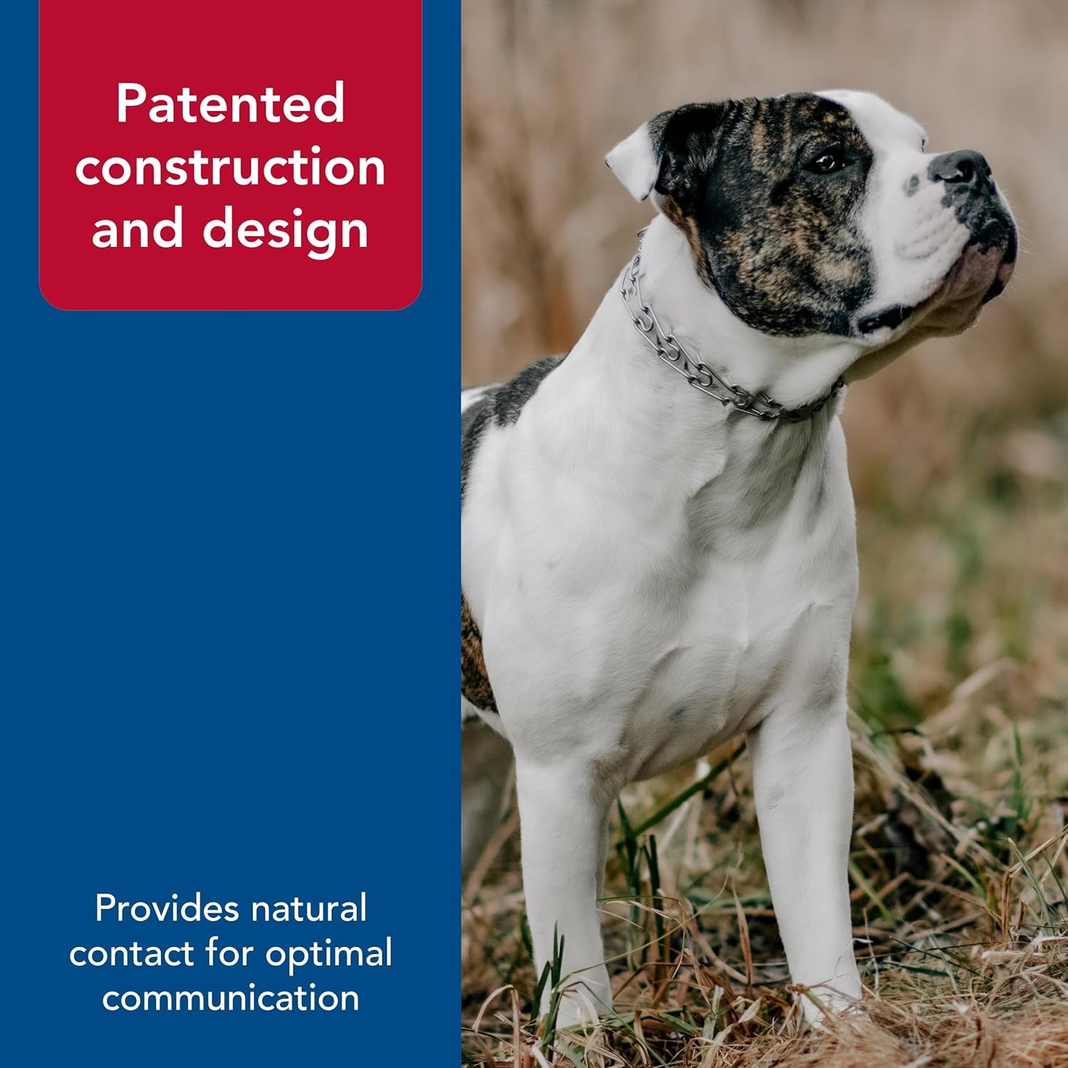 Ultra-Plus Prong Dog Training Collar, 3.0 Mm X 18" Neck Size, 3.0 Mm X 22" Chain Length, Steel Chrome Plated Dog Prong Collar, Pinch Collar for Dogs, Dog Correction Collar