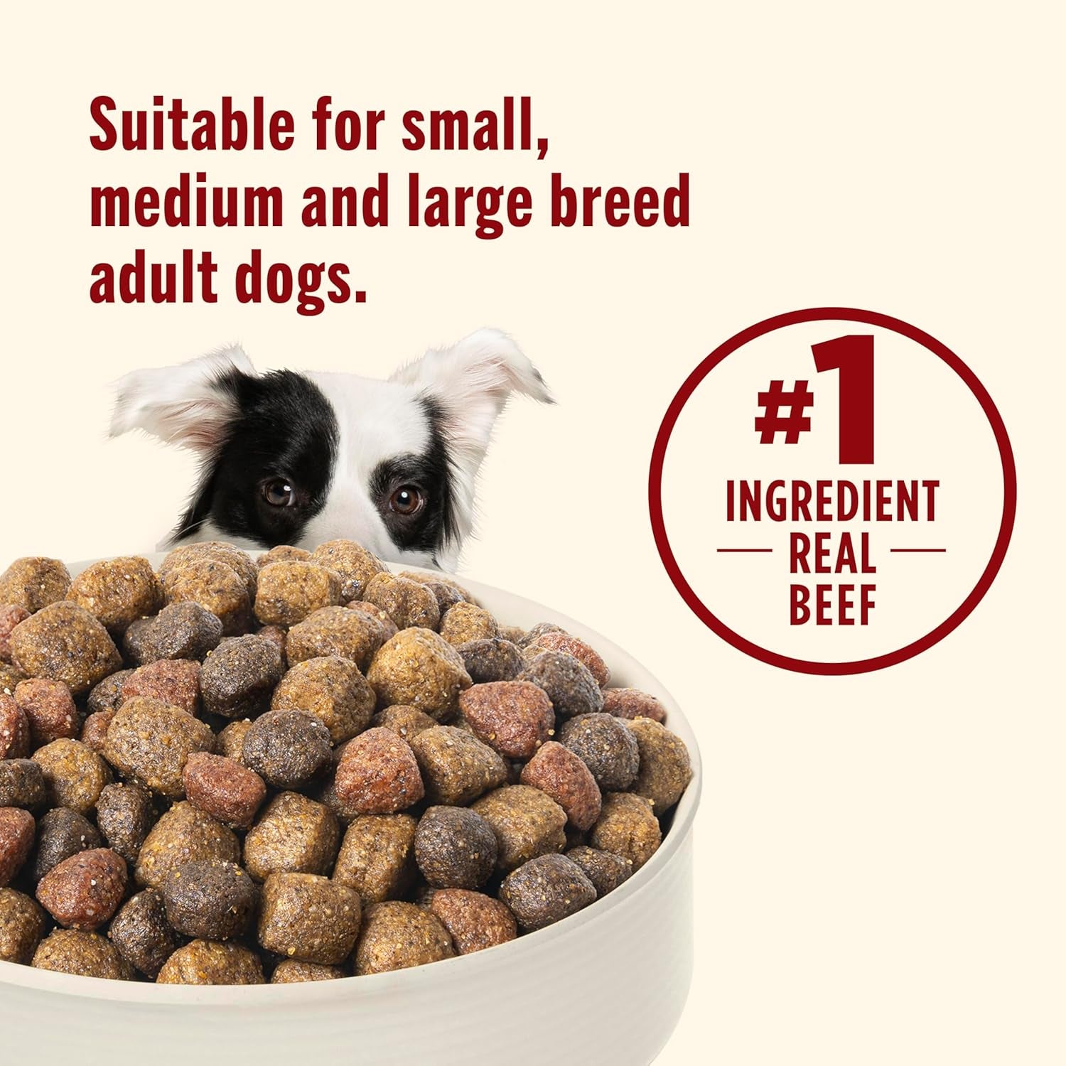 Dry Dog Food, Real Beef, Pea & Brown Rice Recipe Whole Health Blend for Adult Dogs, 6 Lb. Bag (Rachael Ray)