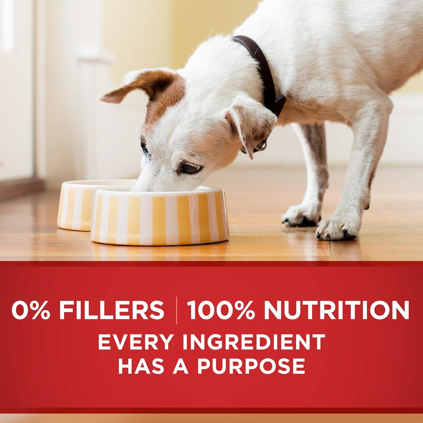 Natural Wet Dog Food Gravy, Tender Cuts in Gravy Beef and Barley Entrée - 13 Ounce (Pack of 12)