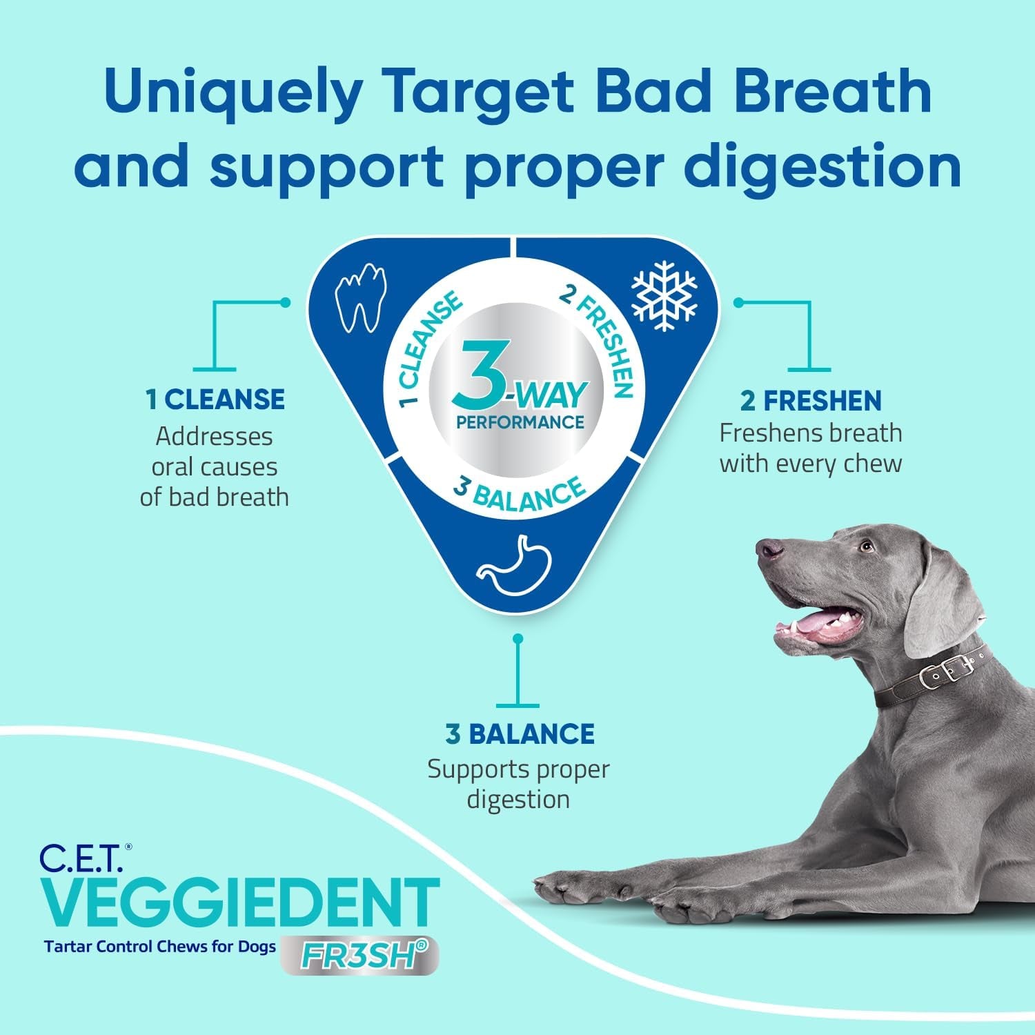 C.E.T. VEGGIEDENT FR3SH Tartar Control Chews for Dogs, Medium, Beef, 1.6 Pounds
