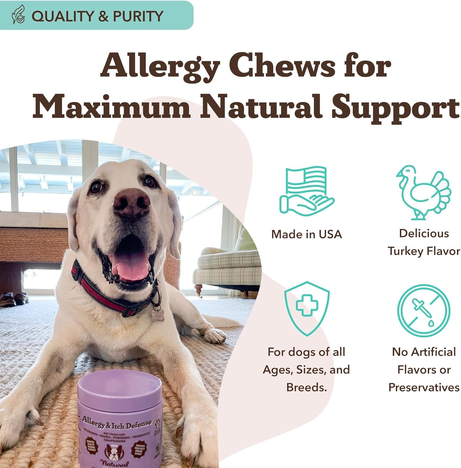 Allergy & Itch Defense Chews – Allergy Support for Dogs, Itch Relief, Skin, Coat & Gut Health with Probiotics, Colostrum & Salmon Oil, Grain-Free Dog Supplement, 90 Ct
