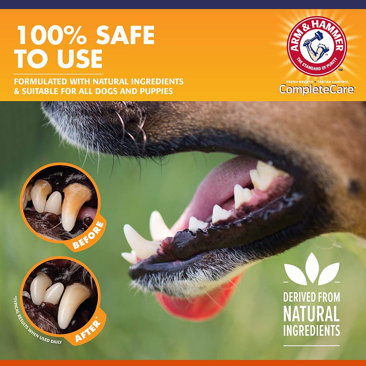 Complete Care Enzymatic Dog Toothpaste, 6.2 Oz - Pet Toothpaste for Puppies and Adult Dogs, Dental Care and Clean Teeth, 6.2 Oz