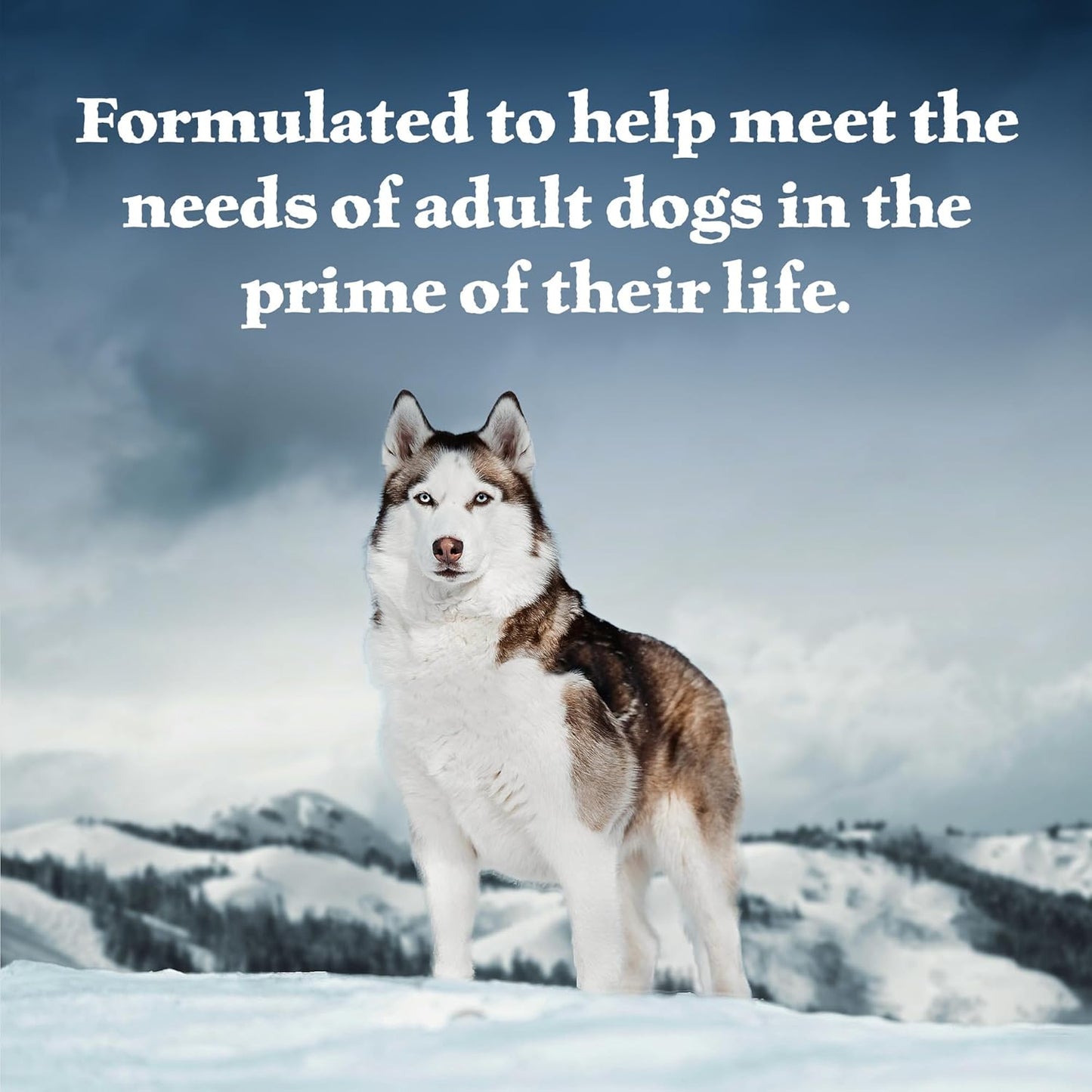 Wilderness Adult Wet Dog Food, High-Protein & Grain-Free, Made with Natural Ingredients, Salmon & Chicken Grill, 12.5-Oz. Cans, 12 Count