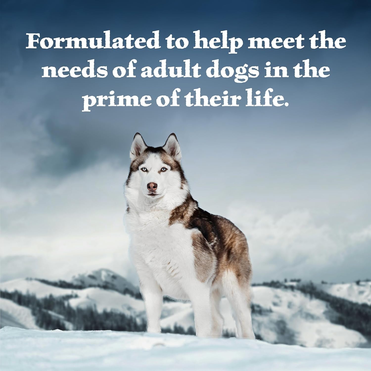 Wilderness Adult Wet Dog Food, High-Protein & Grain-Free, Made with Natural Ingredients, Salmon & Chicken Grill, 12.5-Oz. Cans, 12 Count