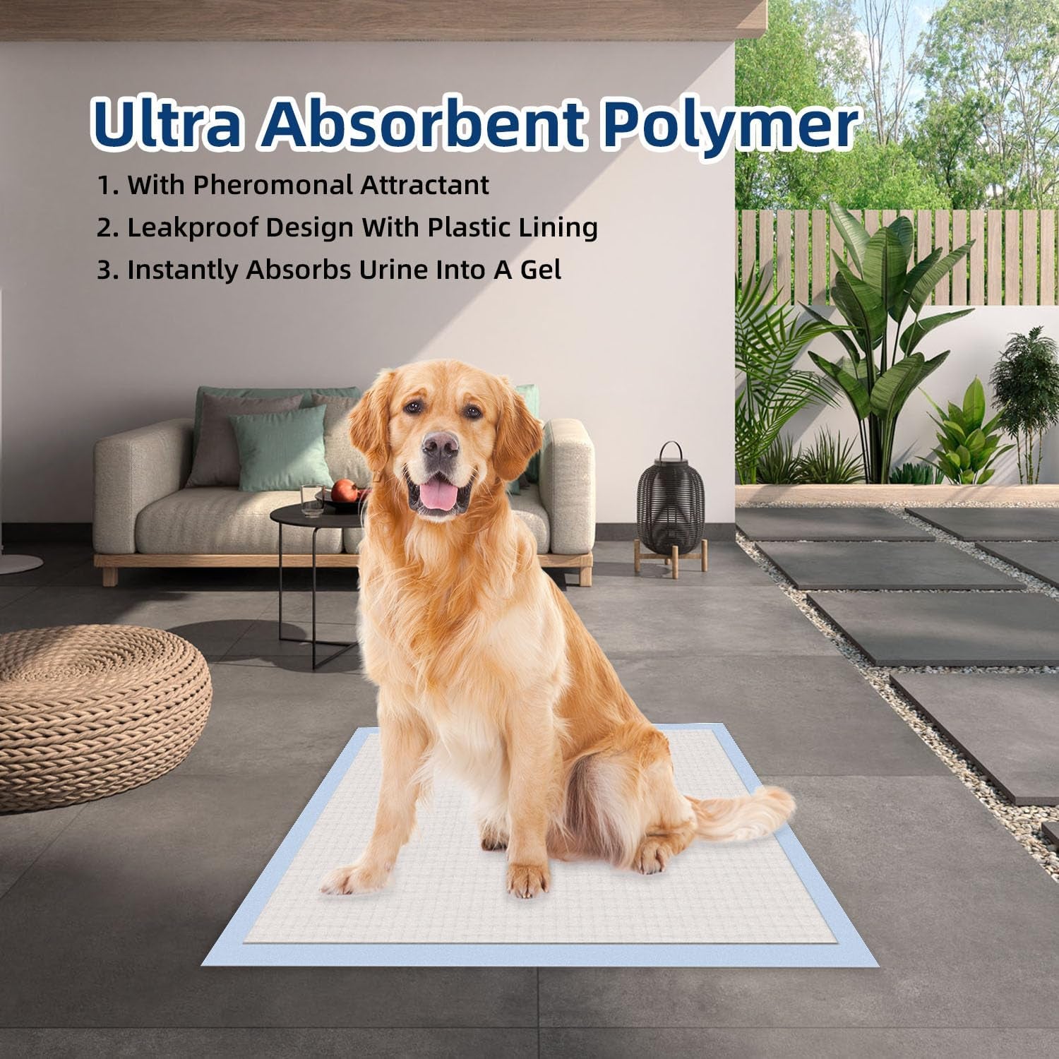 All-Absorb, XXL 30"X36", 30 Count, Dog and Puppy Training Pads, Ultra Absorbent and Odor Eliminating, Leak-Proof 5-Layer Potty Training Pads with Quick-Dry Surface, Blue, A39