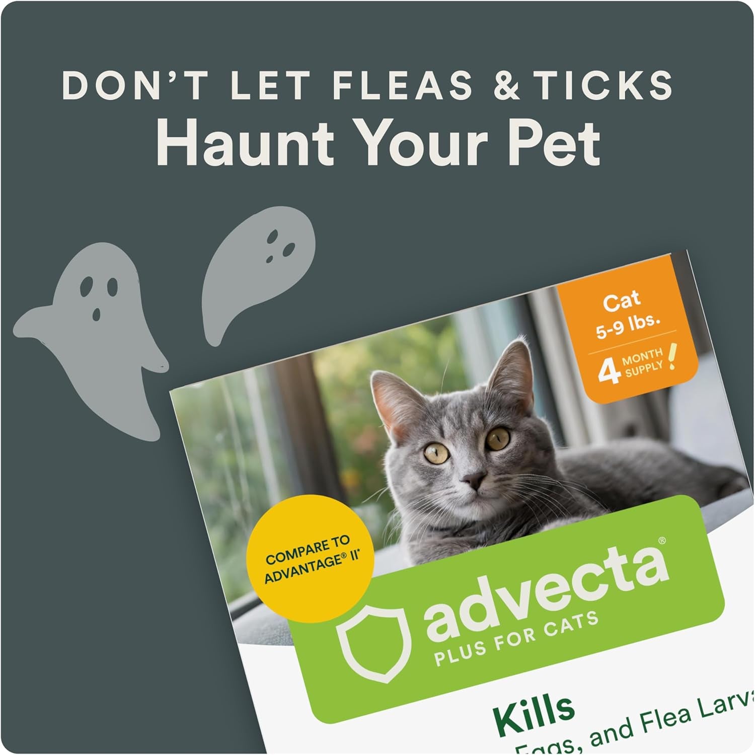 plus Flea Prevention for Cats, Cat and Kitten Treatment & Control, Small and Large, Fast Acting Waterproof Topical Drops, 4 Month Supply