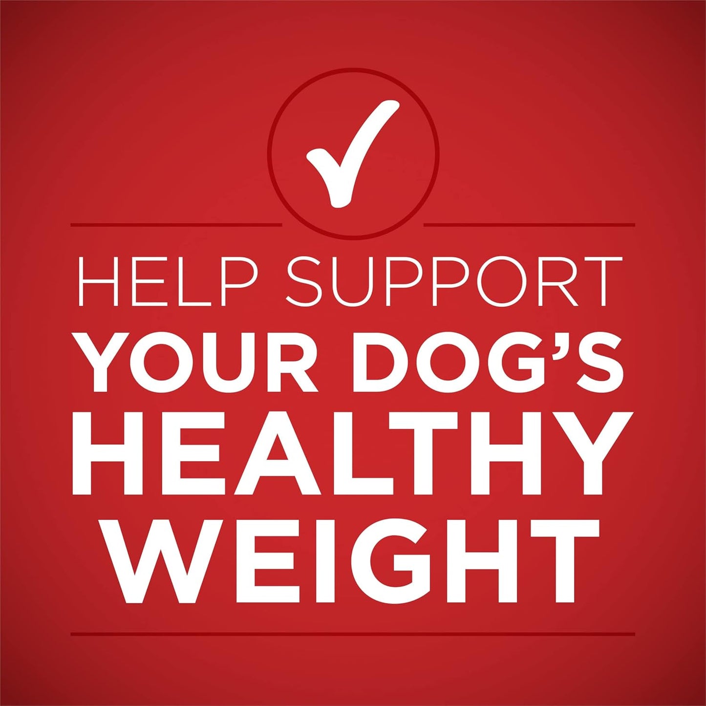 plus Tender Cuts in Gravy Healthy Weight Lamb and Brown Rice Entree in Wet Dog Food Gravy - (Pack of 12) 13 Oz. Cans