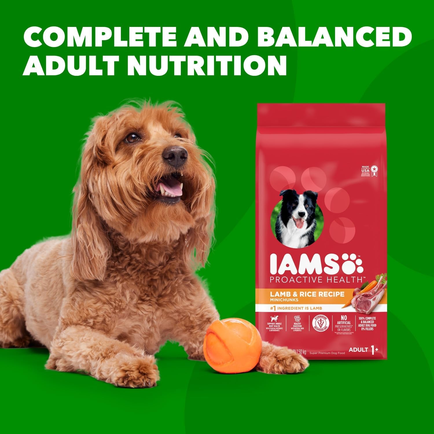 Proactive Health Minichunks Adult Dry Dog Food with Lamb & Rice, 30 Lb. Bag