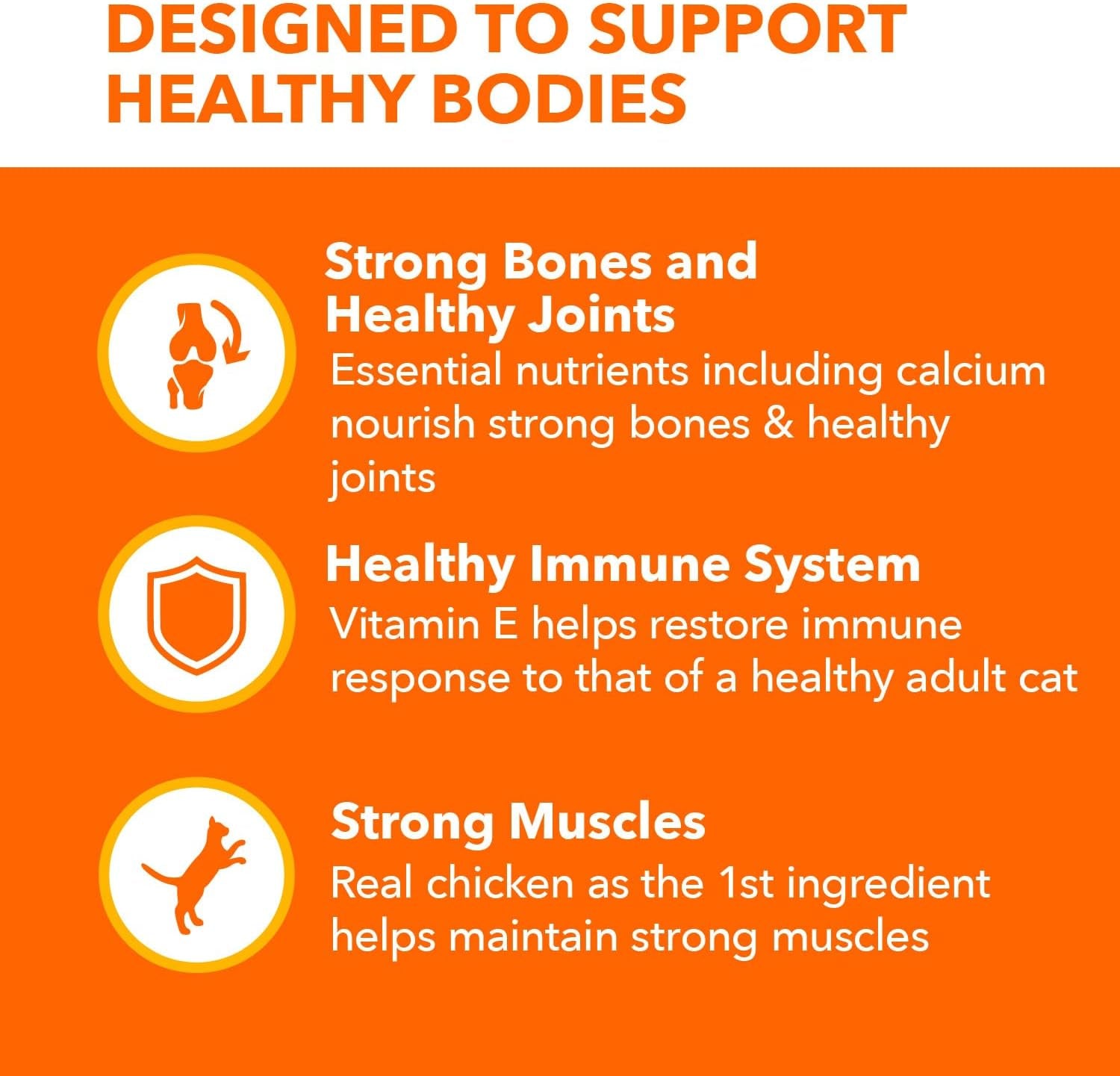 Proactive Health Healthy Senior Dry Cat Food with Chicken, 16 Lb. Bag