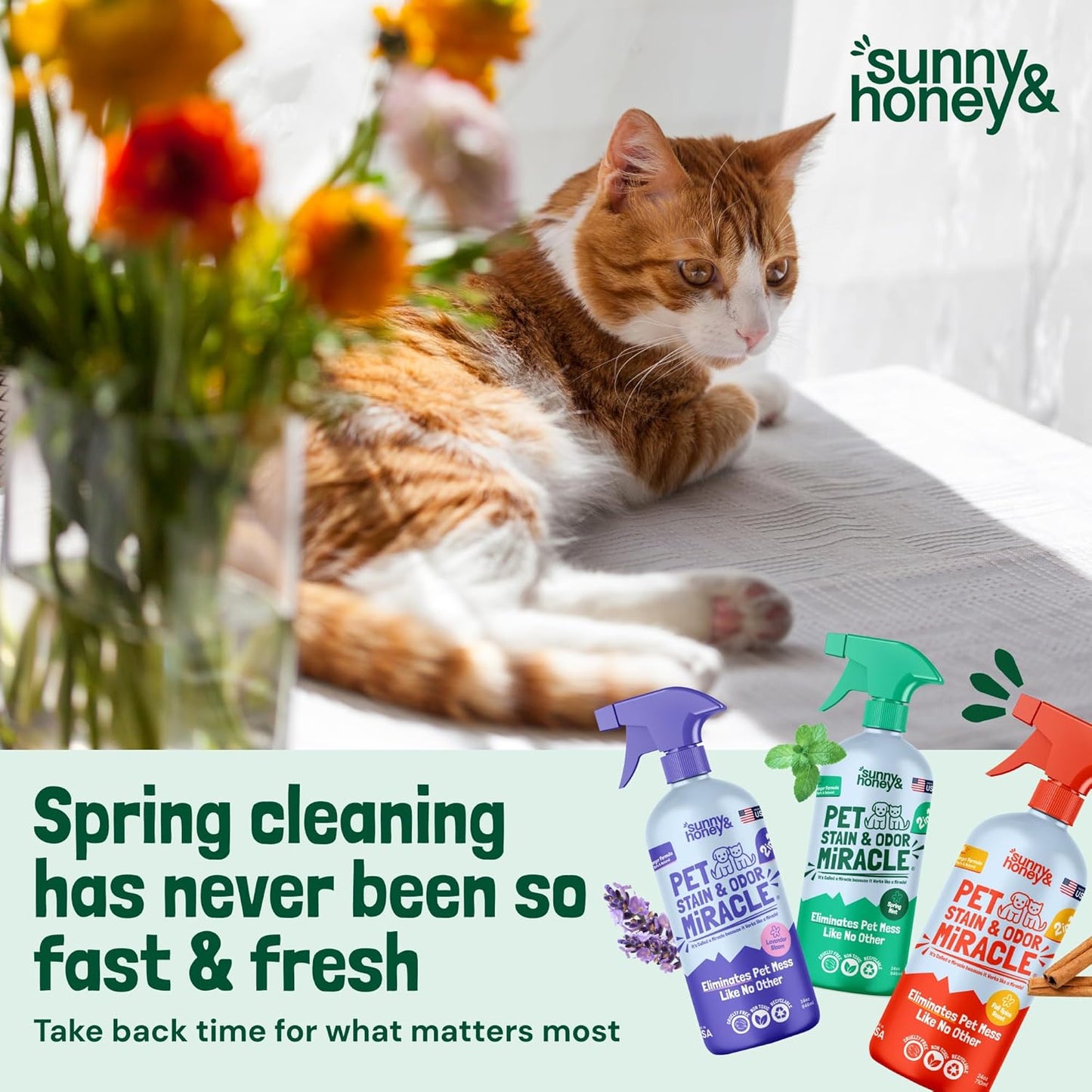 Pet Stain & Odor Miracle - Enzyme Cleaner for Dog Urine & Cat Pee - Pet Odor & Stain Remover Spray for Carpet, Mattress, Furniture - Carpet Cleaner (32 Fl Oz, Spring Mint Scent)