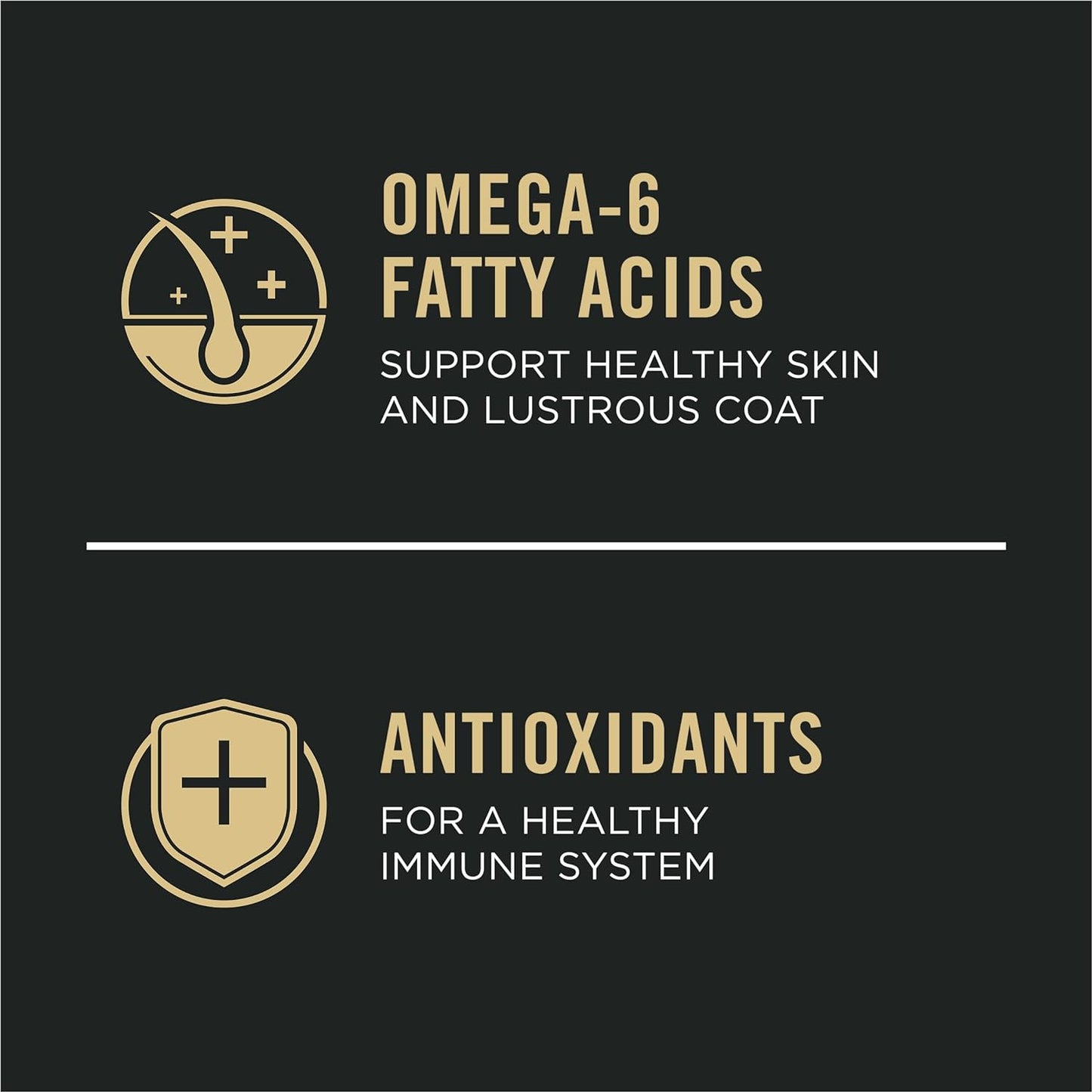 Sensitive Skin and Stomach Dog Food Small Breed, Adult Salmon & Rice Formula - 16 Lb. Bag