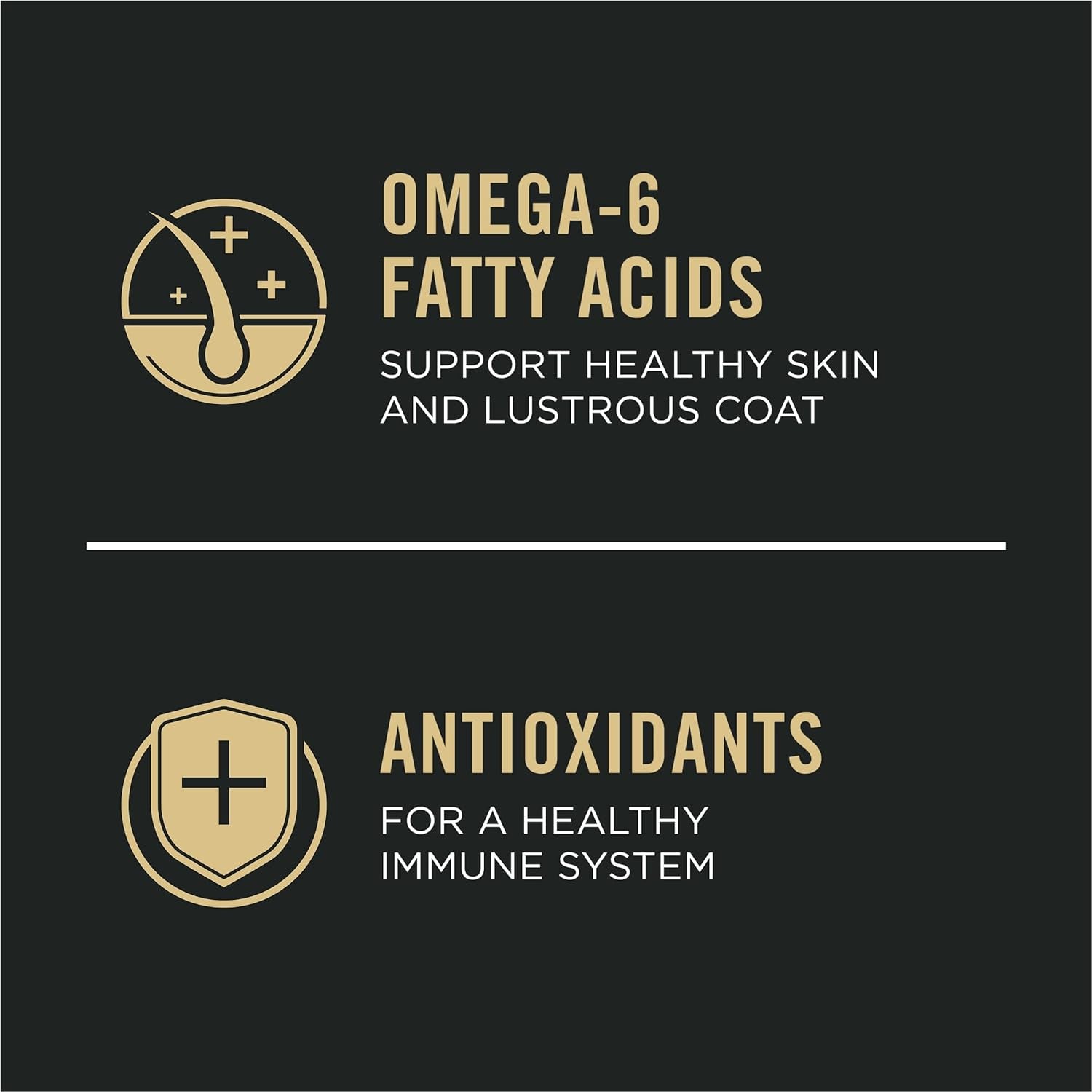 Sensitive Skin and Stomach Dog Food Small Breed, Adult Salmon & Rice Formula - 4 Lb. Bag