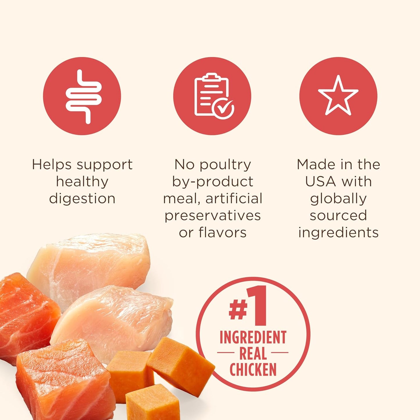 Gentle Digestion Premium Paté Wet Dog Food, Real Chicken, Pumpkin & Salmon Recipe, 13 Oz. Can, 12 Count (Rachael Ray)