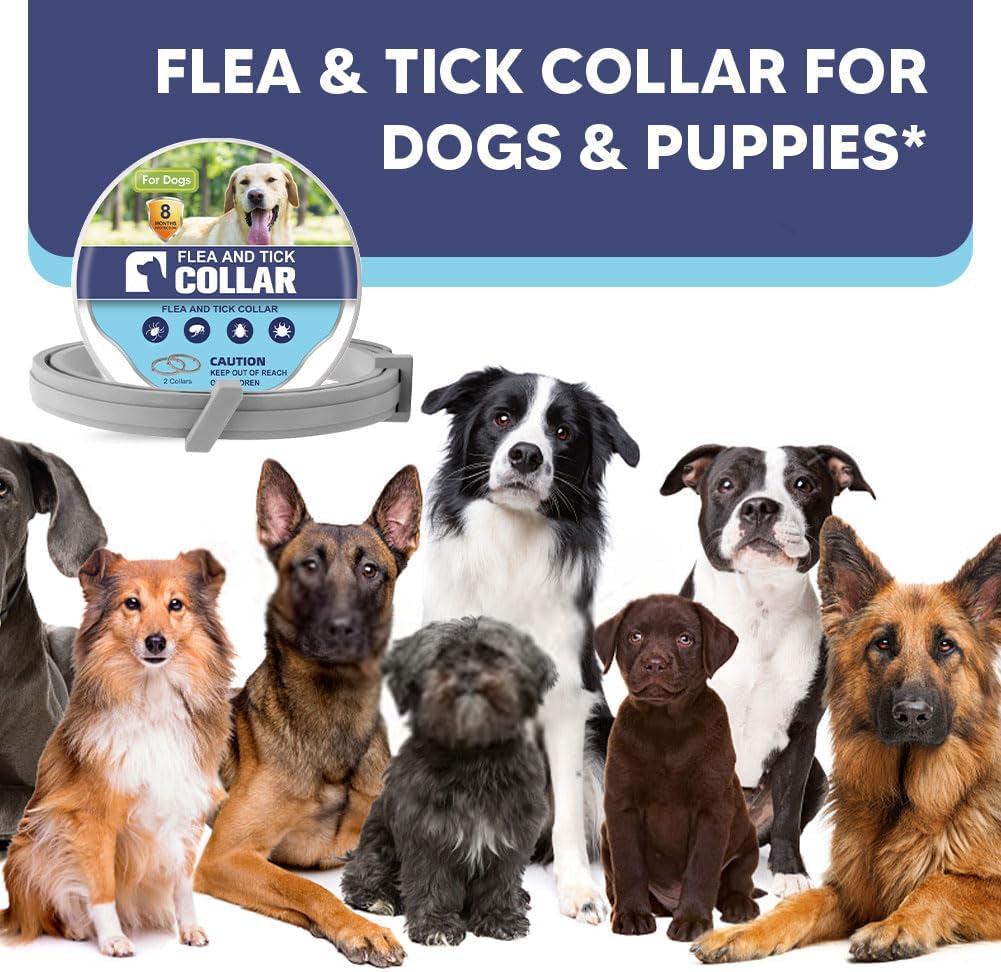 Flea Collar for Dogs, Adjustable Flea and Tick Collar for Large Dogs, 8 Months Protection 2 Count