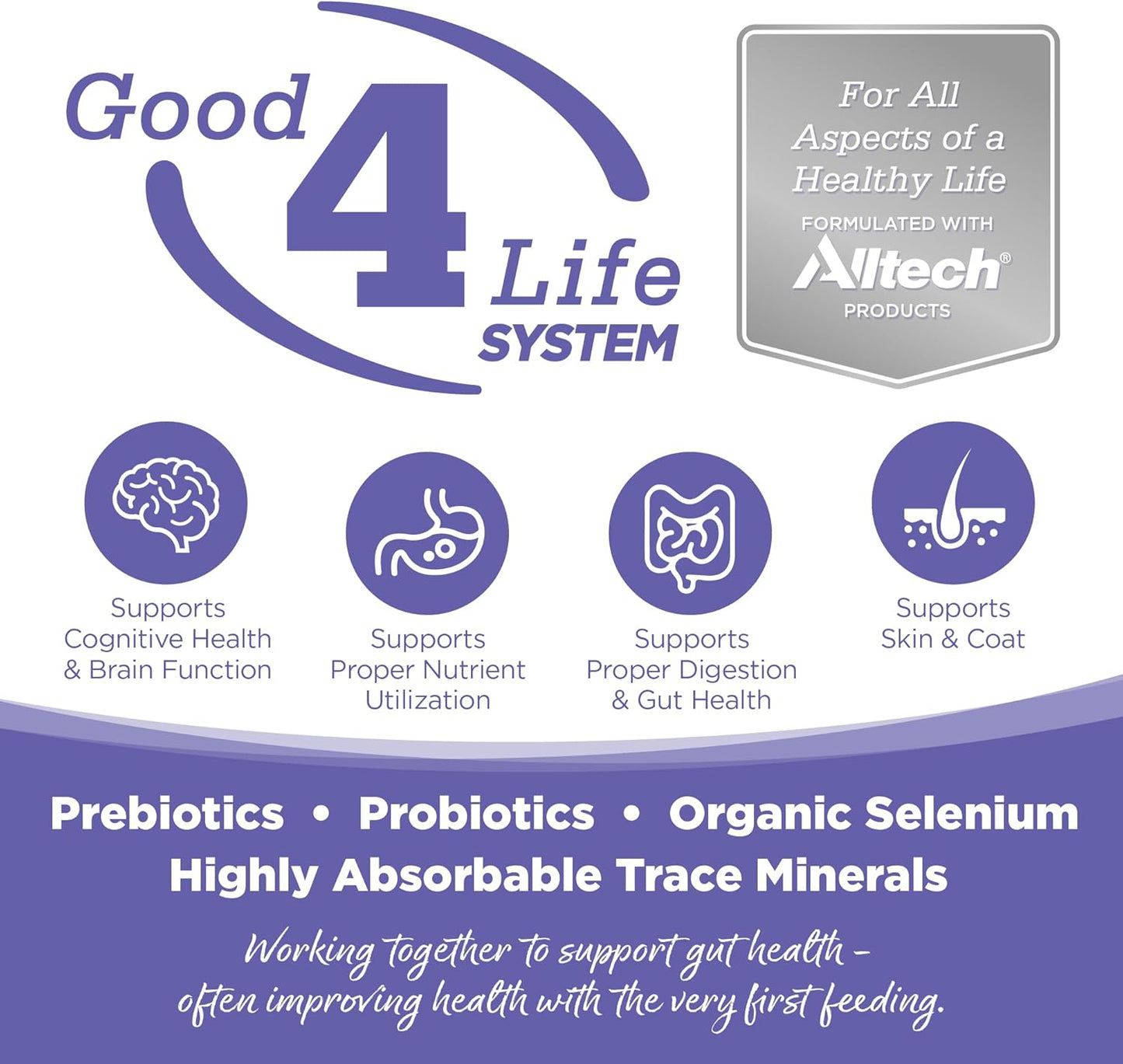 Puppy Food for Small and Medium Breeds, Chicken Meal and Rice, 4LB