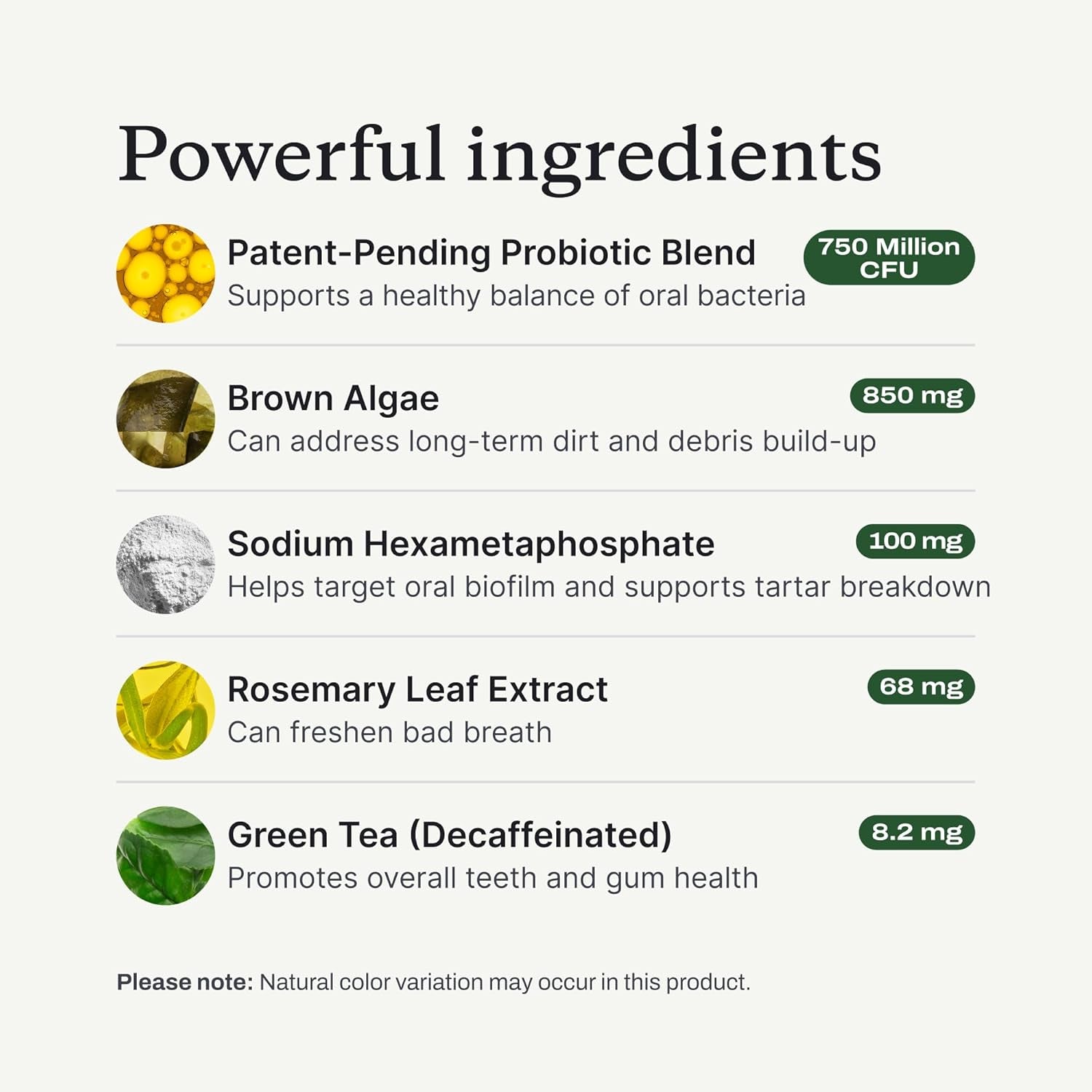 Probright Advanced Dental Powder - Dog Breath Freshener - Teeth Cleaning Made Easy – Targets Tartar & Bad Breath - Packaging May Vary - Formulated for Medium Size Dogs