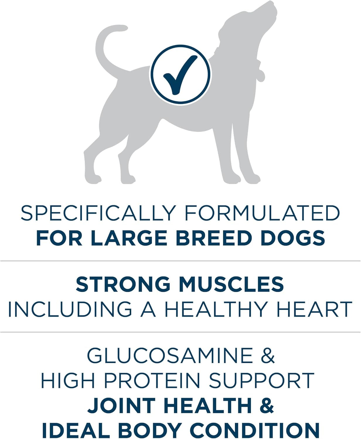 plus Large Breed Adult Dog Food Dry Formula - 40 Lb. Bag