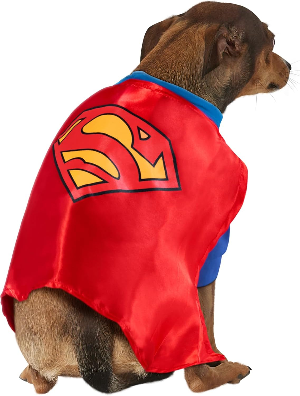 DC Comics Superheroes: Superman Pet Costume for for Dogs or Cats by , XXXL