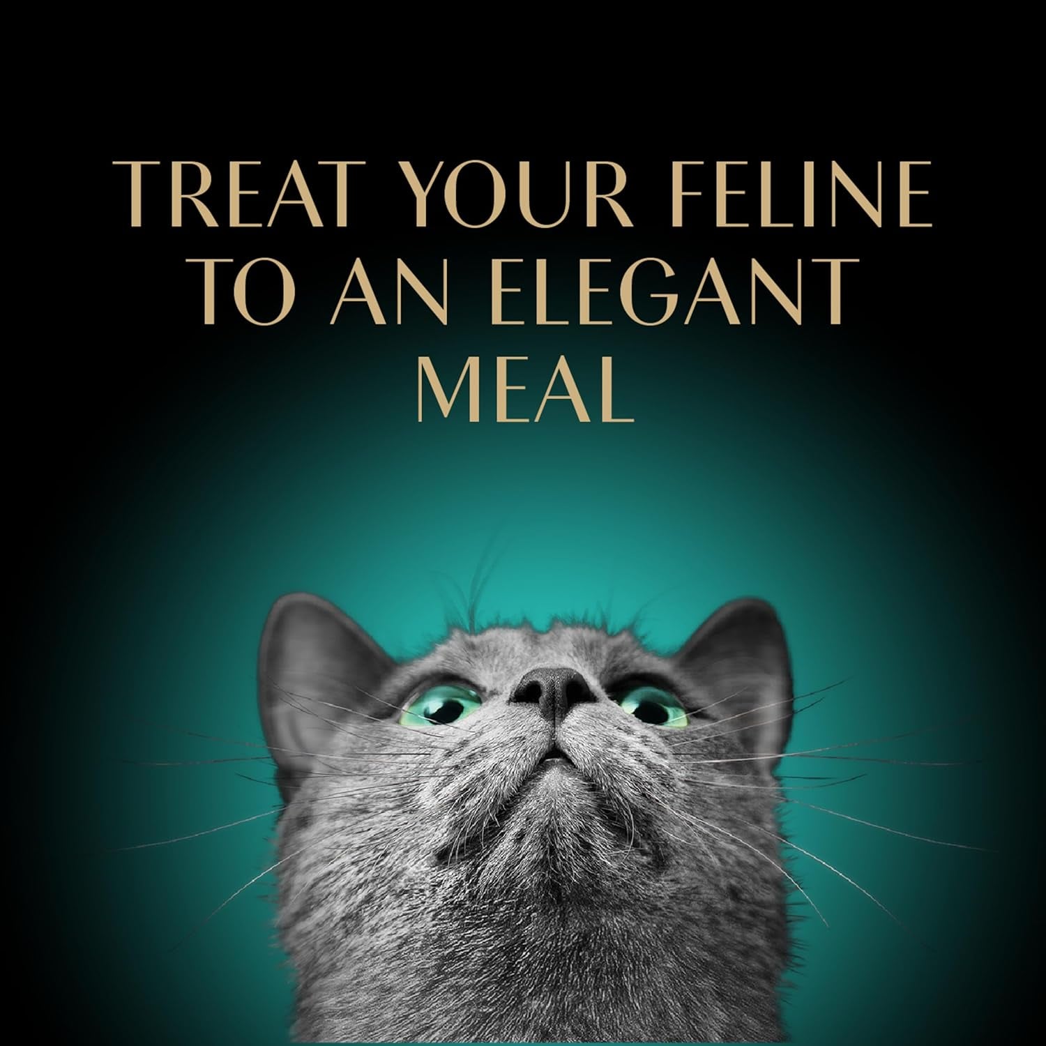 Perfect Portions Wet Cat Food Pate Tender Beef Entree, 2.6 Oz. Twin-Pack Trays (24 Count, 48 Servings)