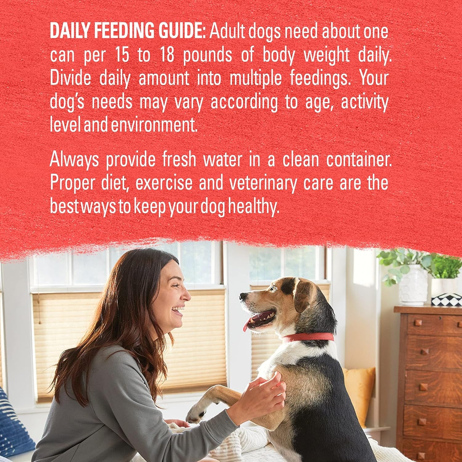 Beef, Potato, and Green Bean Grain Free Wet Dog Food Natural Pate with Added Vitamins and Minerals - (Pack of 12) 13 Oz. Cans