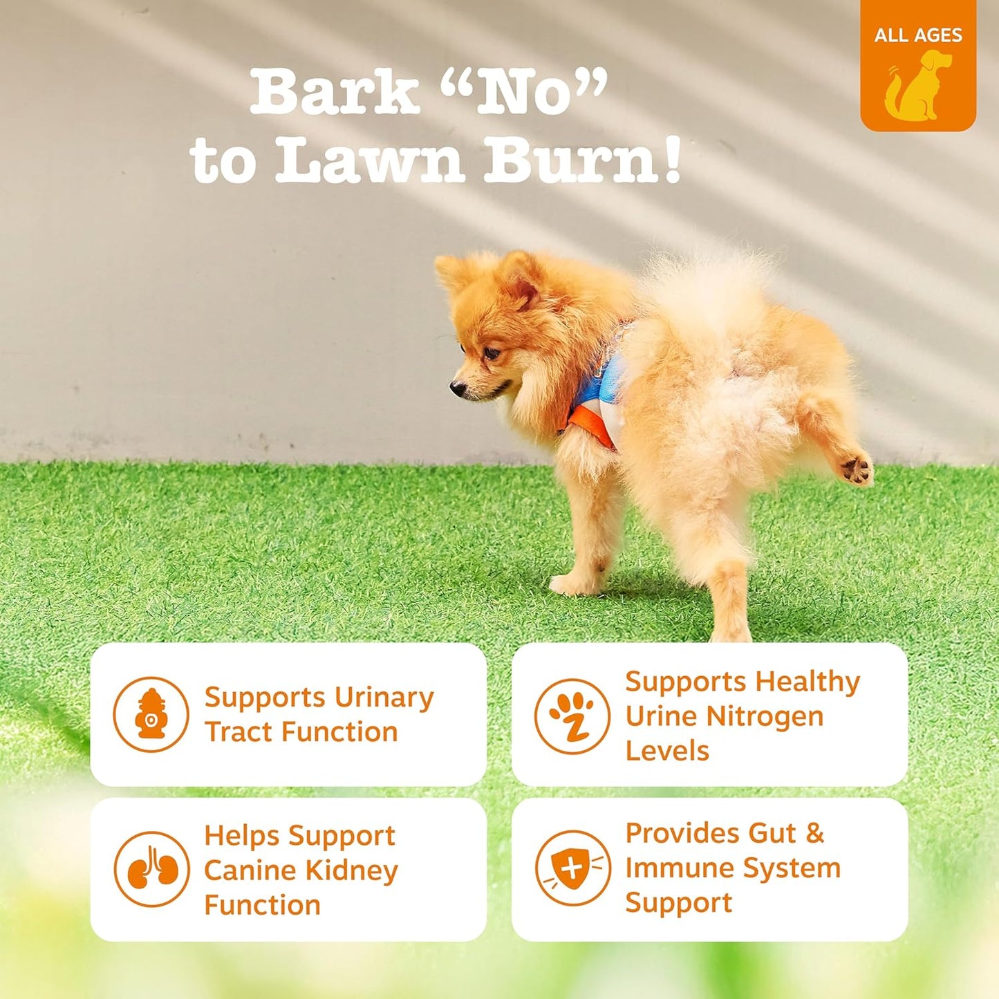 Stay Green Bites for Dogs - Grass Burn Soft Chews for Lawn Spots Caused by Dog Urine - with Cranberry for Urinary Tract & Bladder - Chicken - 90 Count