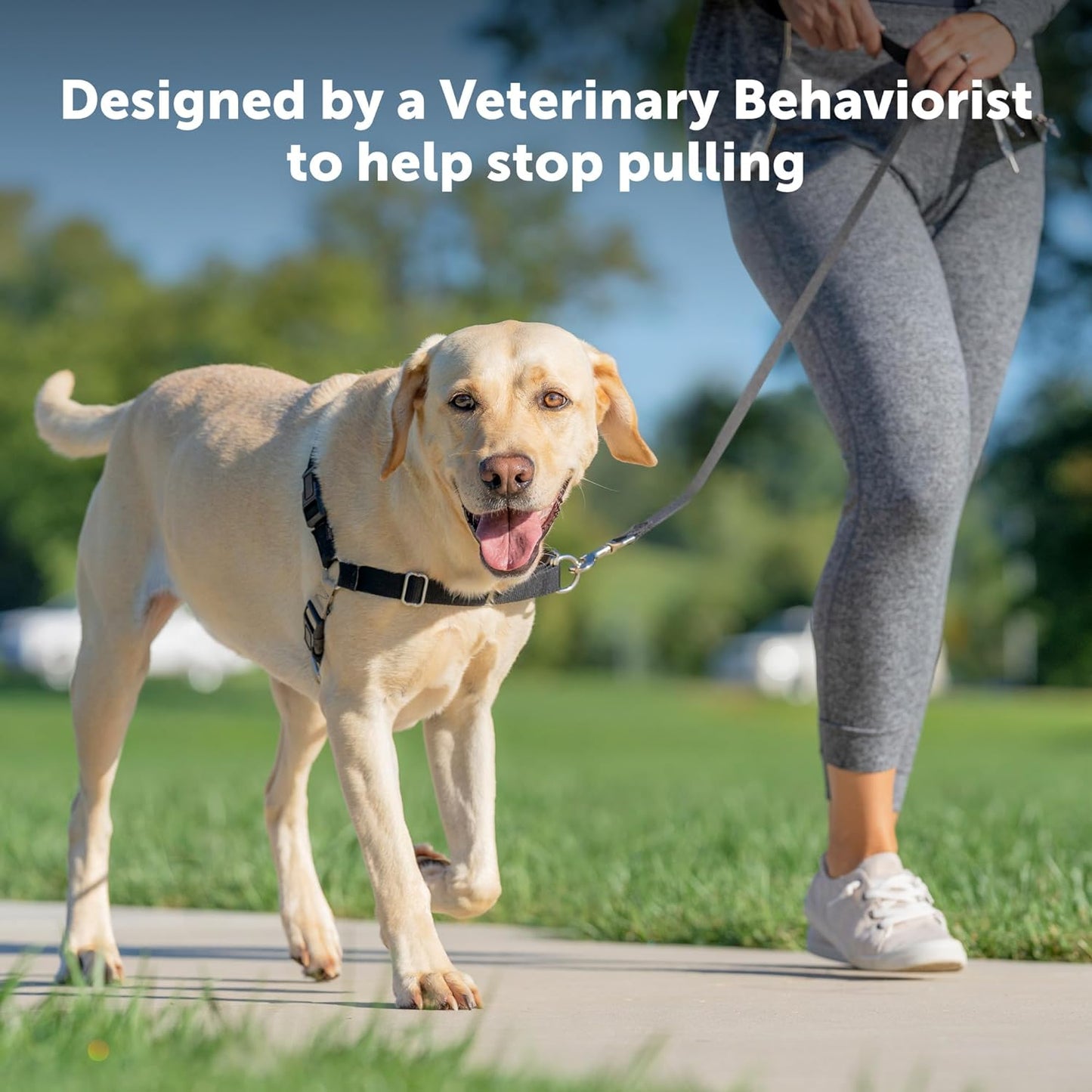 Easy Walk No-Pull Dog Harness - the Ultimate Harness to Help Stop Pulling - Take Control & Teach Better Leash Manners - Helps Prevent Pets Pulling on Walks, Medium/Large, Raspberry/Gray