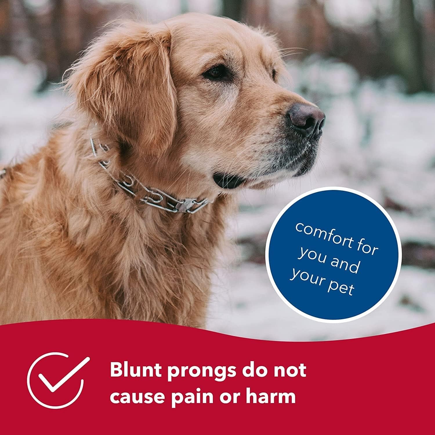 Ultra-Plus Prong Dog Training Collar, 2.25 Mm X 13" Neck Size, 2.25 Mm, Steel Chrome Plated Dog Prong Collar, Pinch Collar for Dogs, Dog Correction Collar