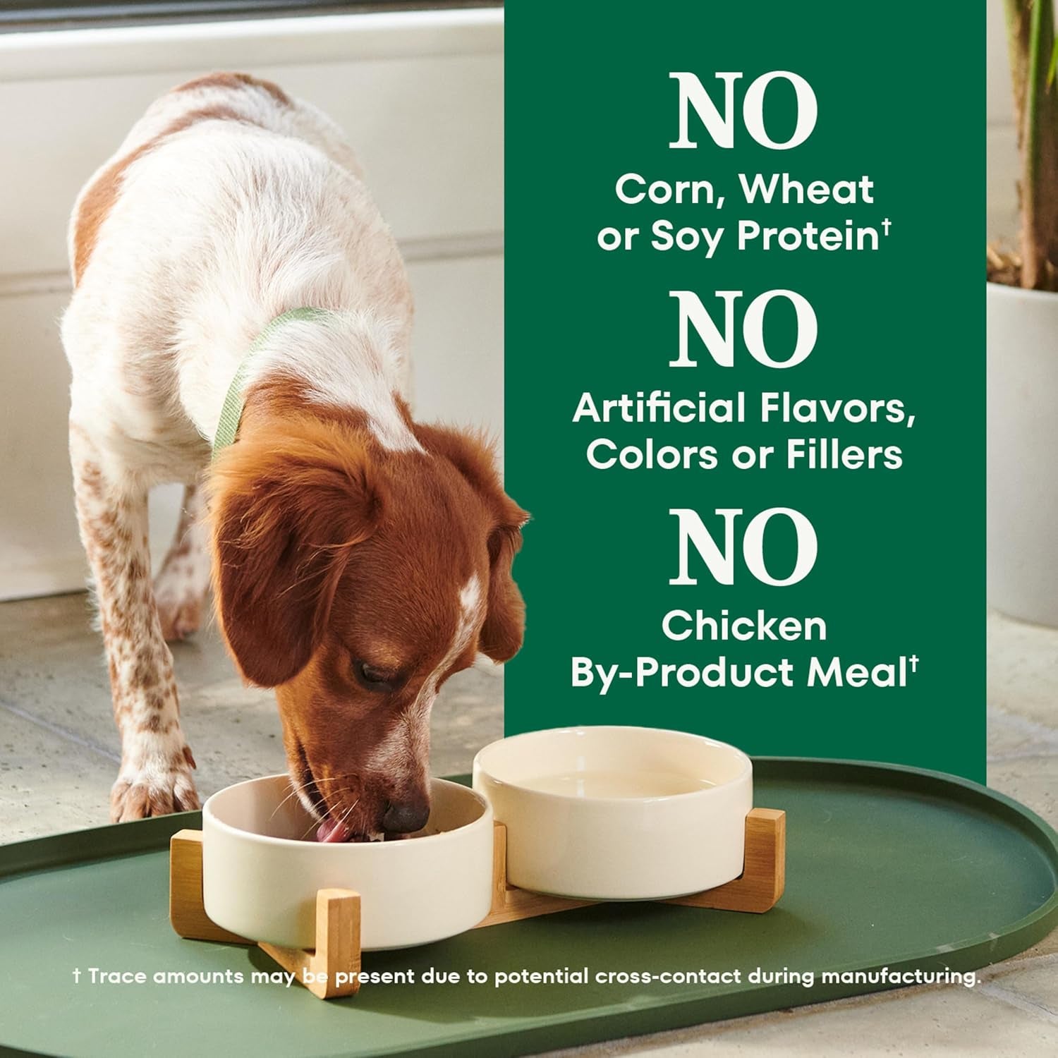 Natural Choice Chicken & Brown Rice Adult Small Bites Dog Food Recipe, 13 Lb. Bag