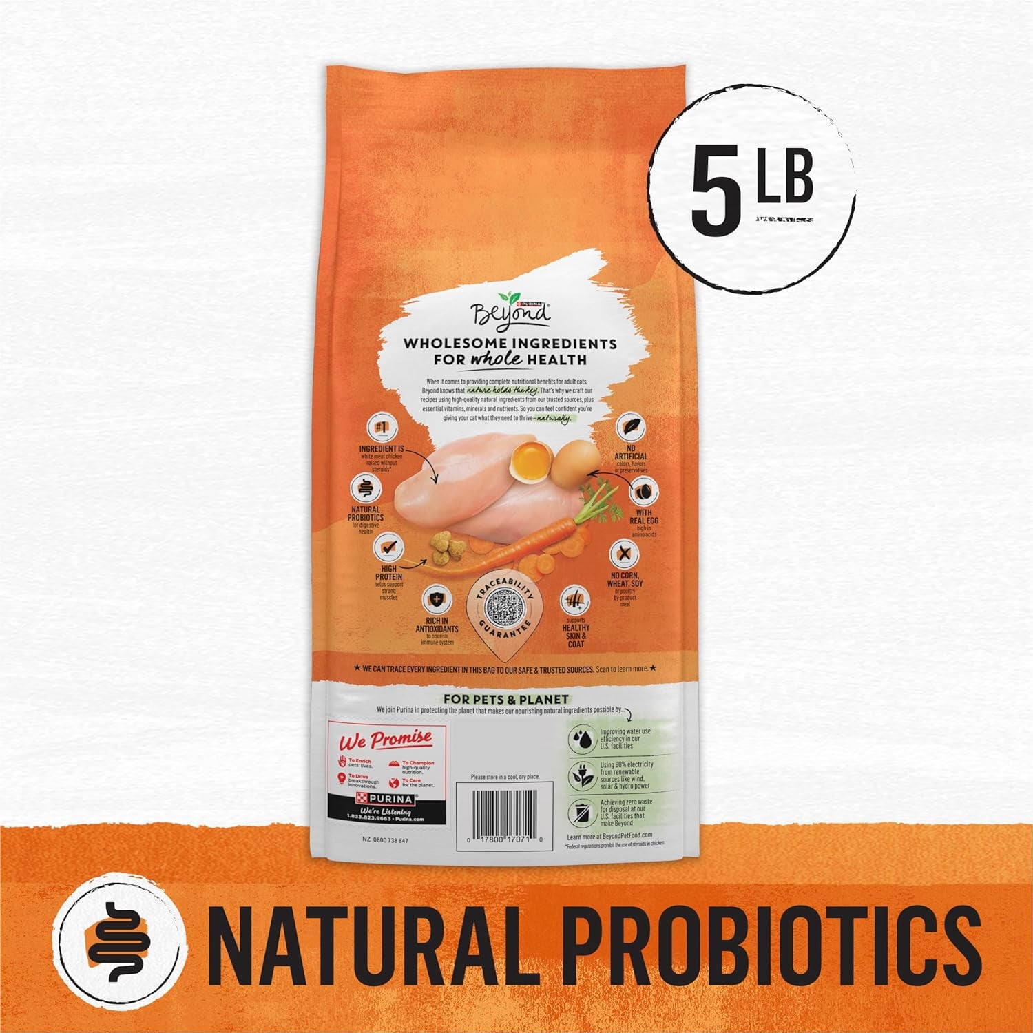 Grain Free White Meat Chicken and Egg Recipe Natural Cat Food High Protein Cat Food Dry Formula - 5 Lb. Bag