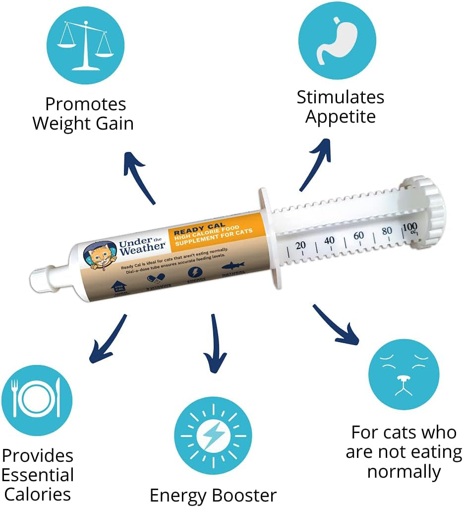 Pet | Ready Cal for Cats 100Cc | High Calorie Supplement | Cat Weight Gainer and High Calorie Booster | 10 Vitamins, 7 Minerals & Omega Fatty Acids (For Cats 100Cc)