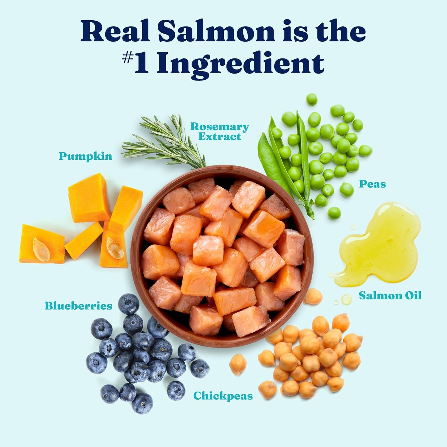 Salmon Dog Food for Sensitive Stomachs – Grain Free & Gluten Free Kibble W/Probiotics to Support Gut Health & Digestion - Sensitive Stomach Dog Food for All Ages – Nutrientboost™ – 22 LB