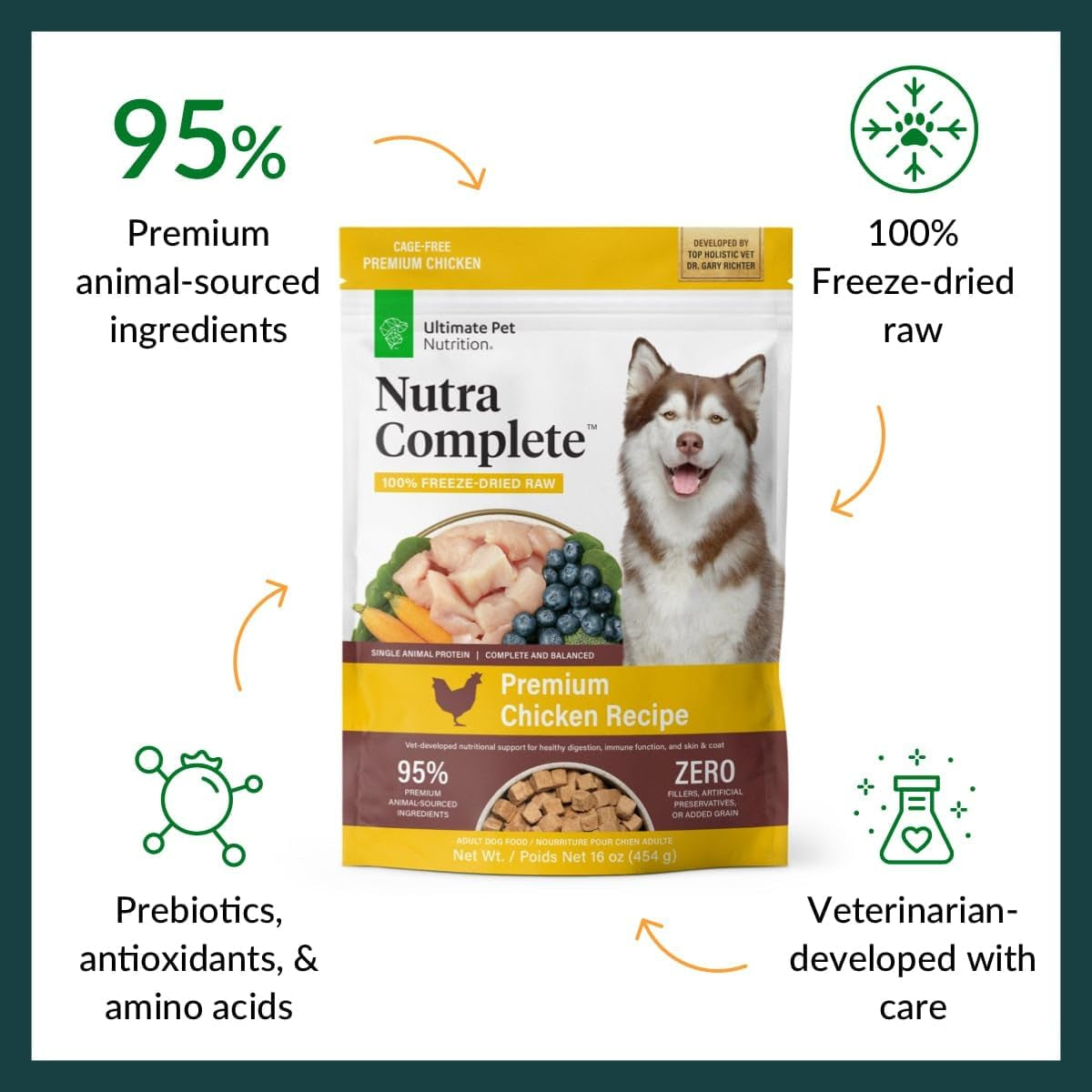Nutra Complete Freeze Dried Raw Dog Food, Veterinarian Formulated with Antioxidants, Prebiotics & Amino Acids (1 Pound, Chicken)