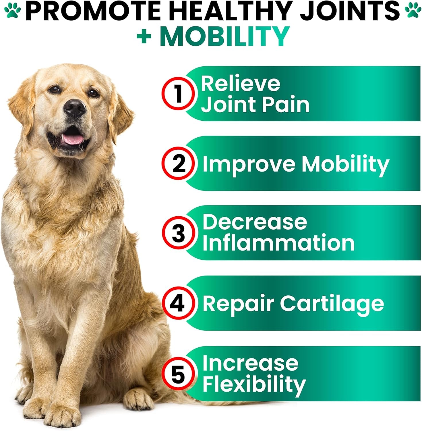 Hemp Hip and Joint Supplement for Dogs - Glucosamine for Dogs - 170 Joint Pain Relief Treats - Chondroitin, MSM, Hemp Oil - Advanced Health Supplement - Mobility Support Chews - Made in USA