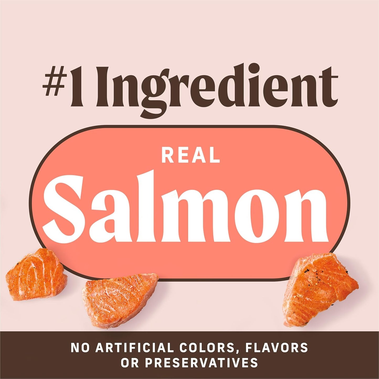 Power Bites Natural Soft and Chewy Real Meat Dog Treats, Grain Free Snack with Real Salmon Recipe - 6 Oz. Bag