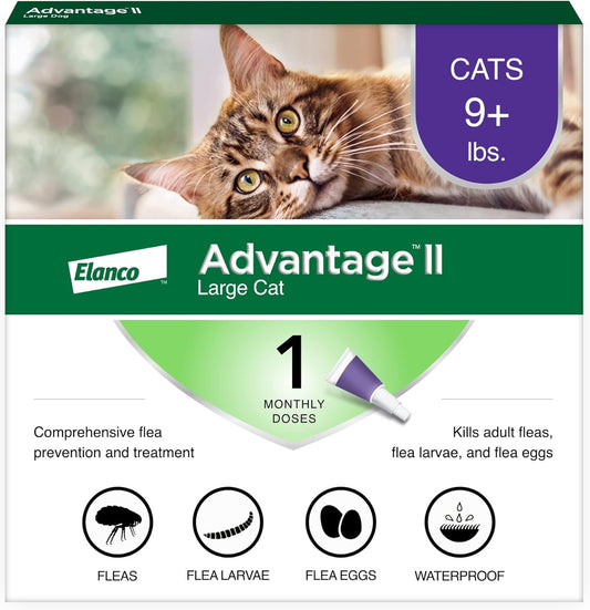 II Large Cat Vet-Recommended Flea Treatment & Prevention | Cats over 9 Lbs. | 1-Month Supply