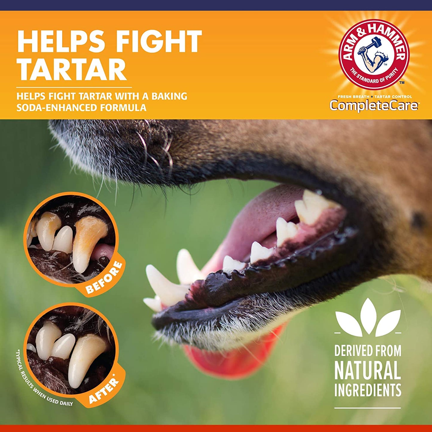 Dog Dental Kit - Enzymatic Dog Toothpaste 2.5 Oz