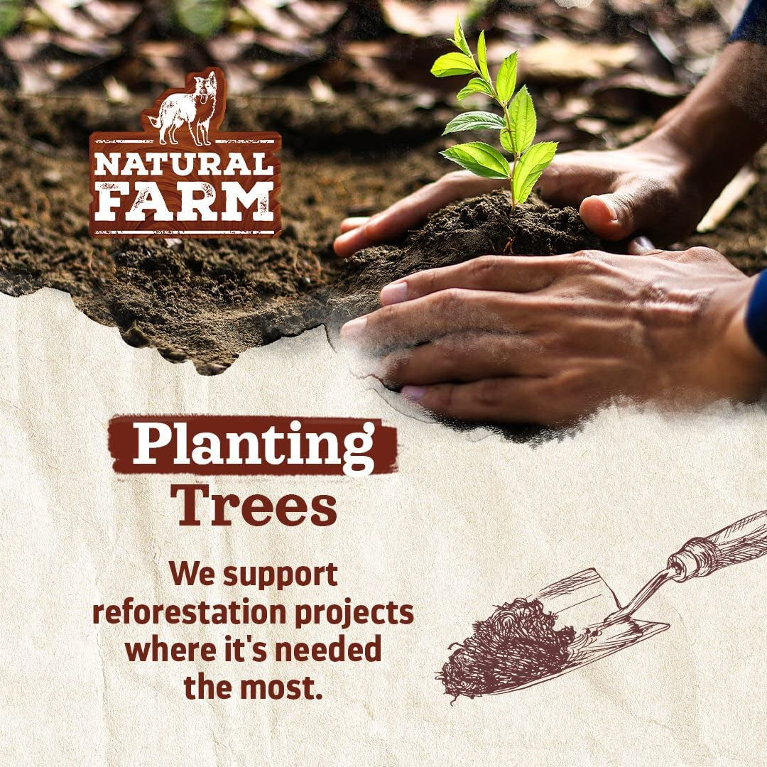 Bully Sticks (6 Inch, 30 Pack), Thin Pizzle Pixie Beef Treats, Grain-Free, High Protein, Best Rawhide Alternative for Small, Puppies or Senior Dogs